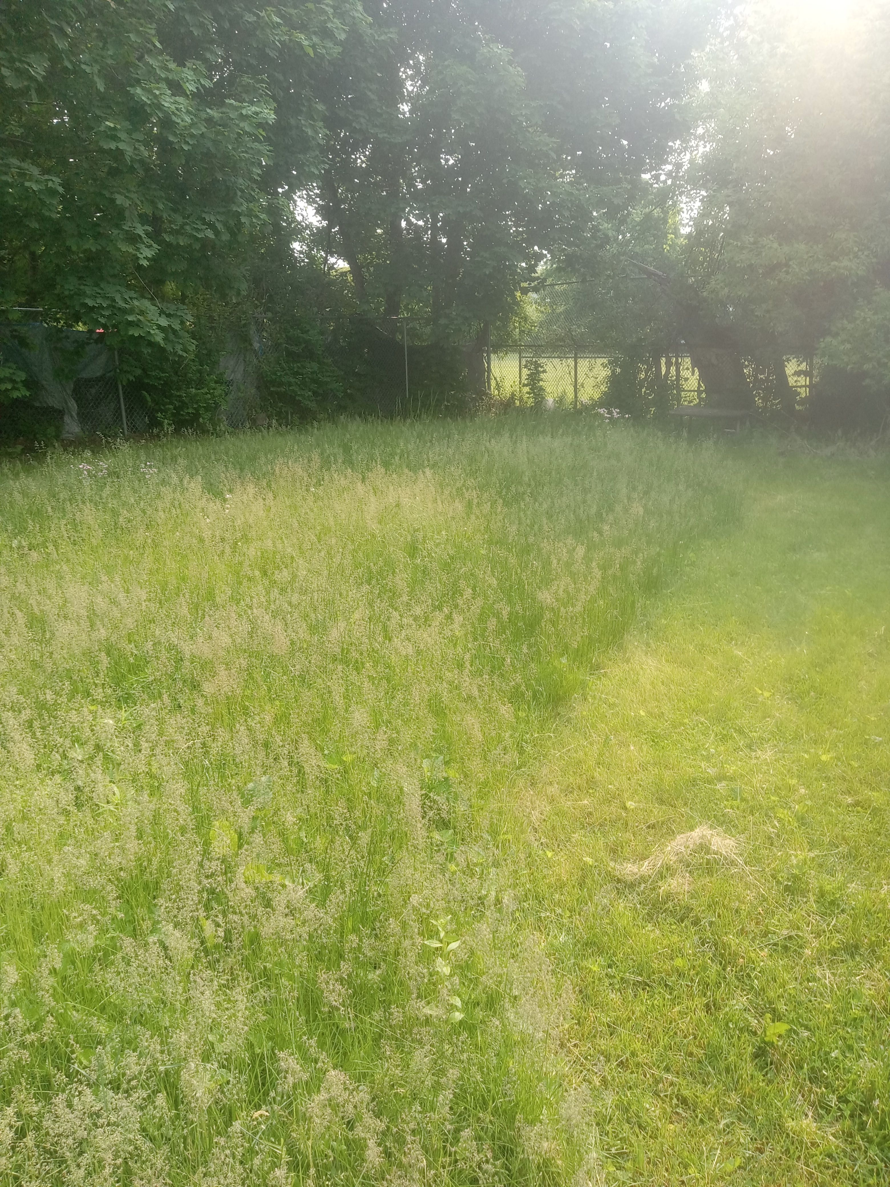  for K Brown's Property Maintenance in Pittsfield, MA