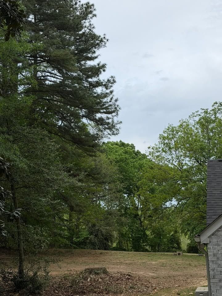 All Photos for Hunt’s Hauling & Landworks LLC in Danville, VA