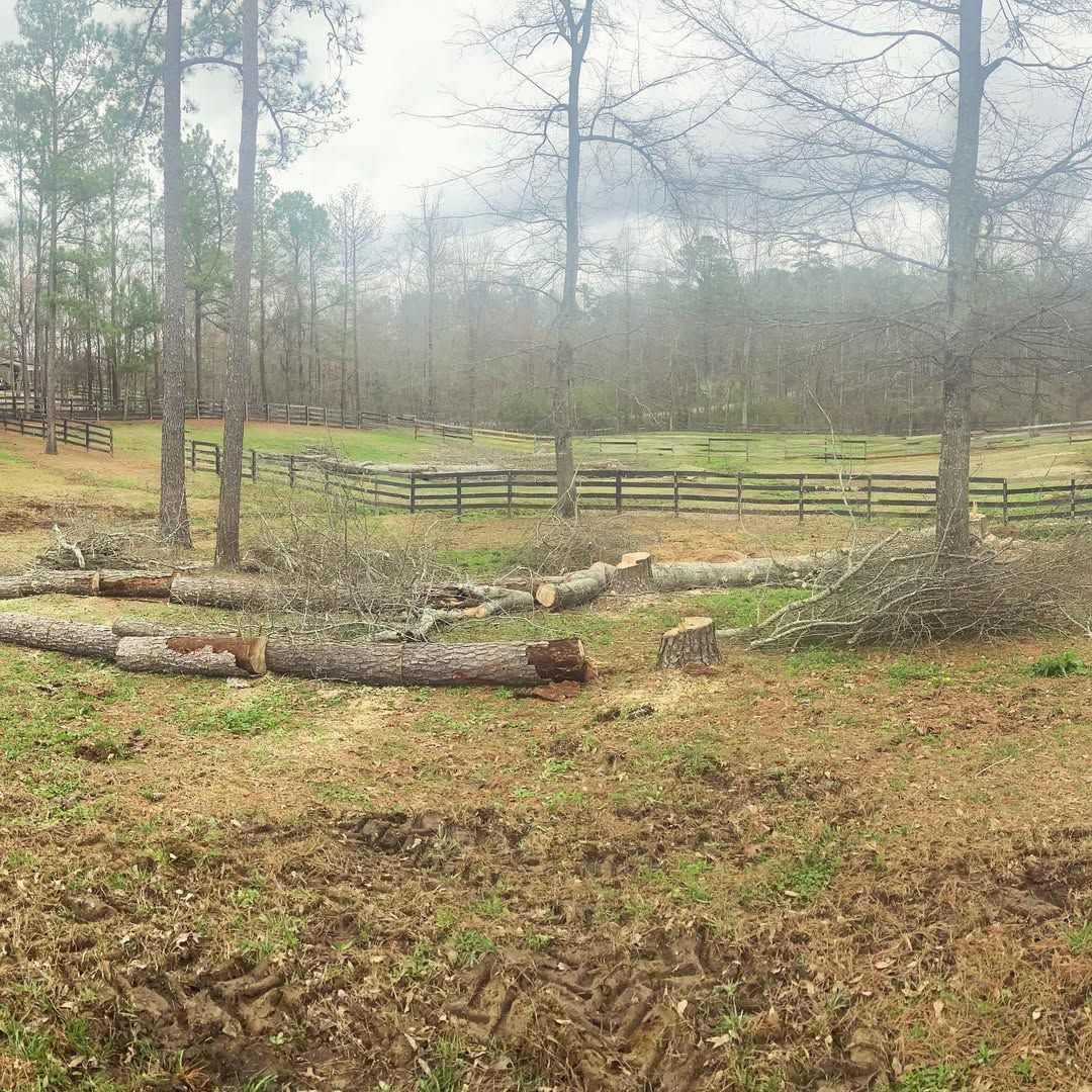  for Kingdom Tree Cuts in Birmingham, AL