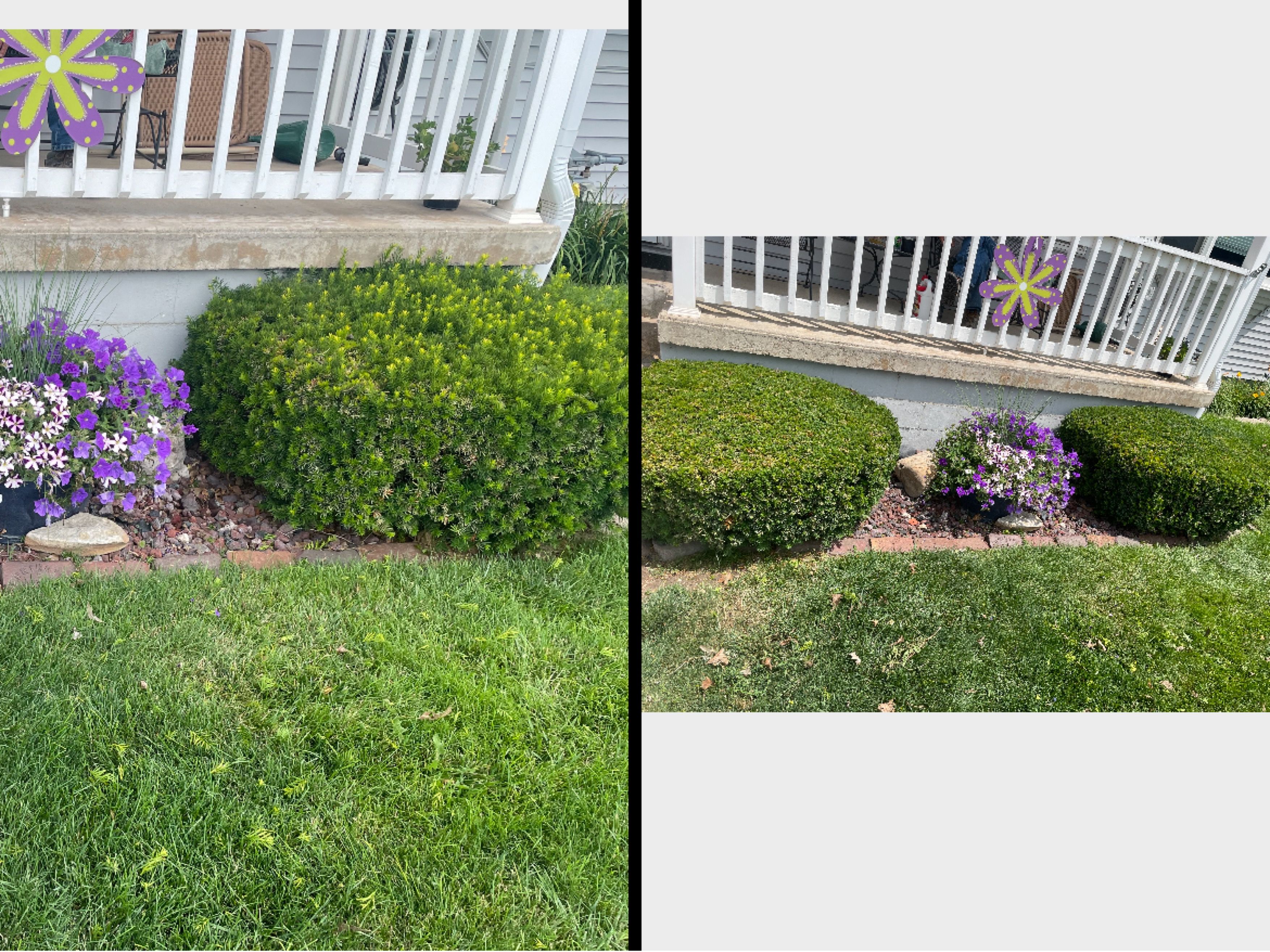  for Jacks Lawn & Landscape LLC  in Hastings, NE