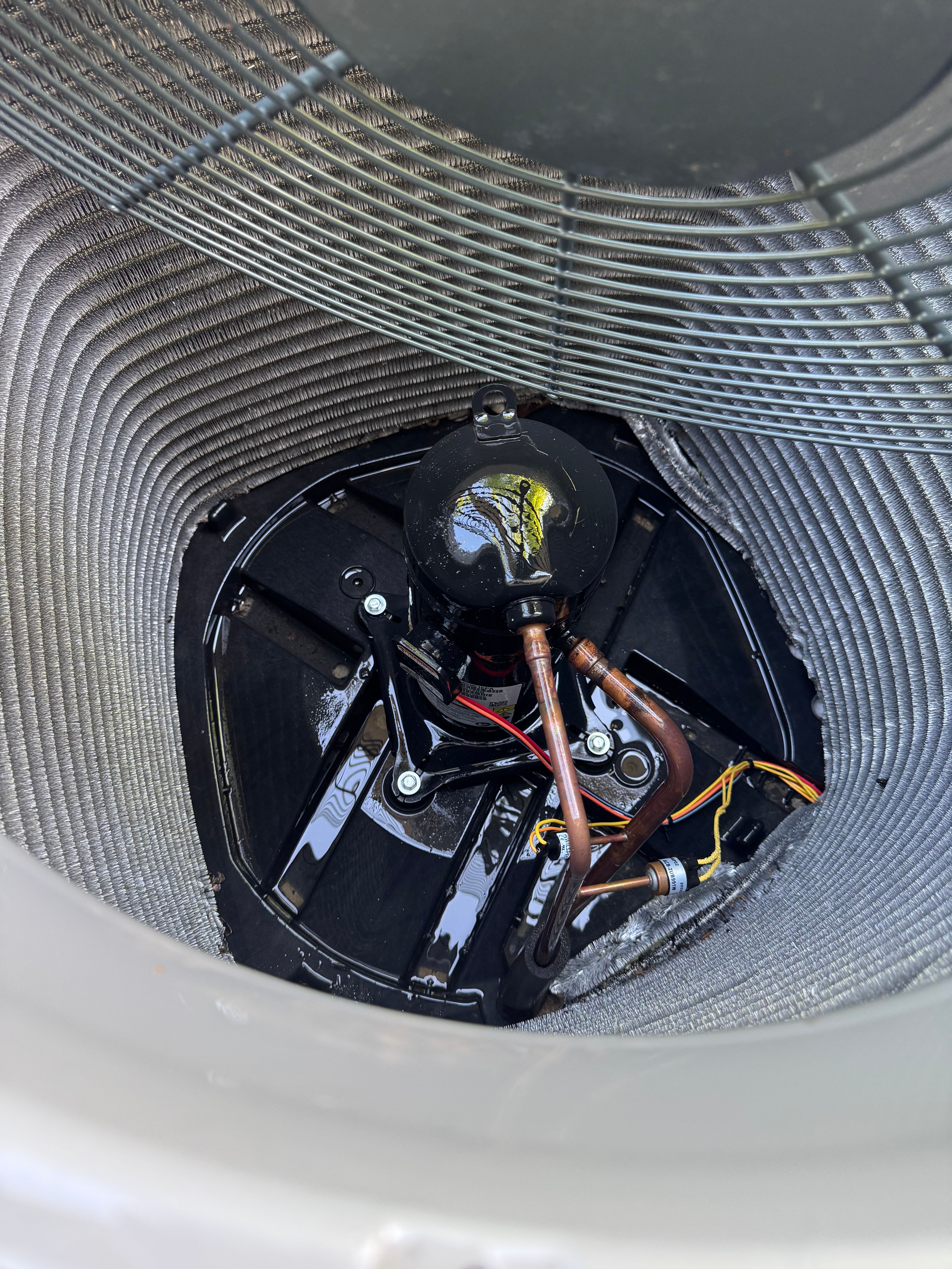  for College Grove Service Company in College Grove, TN