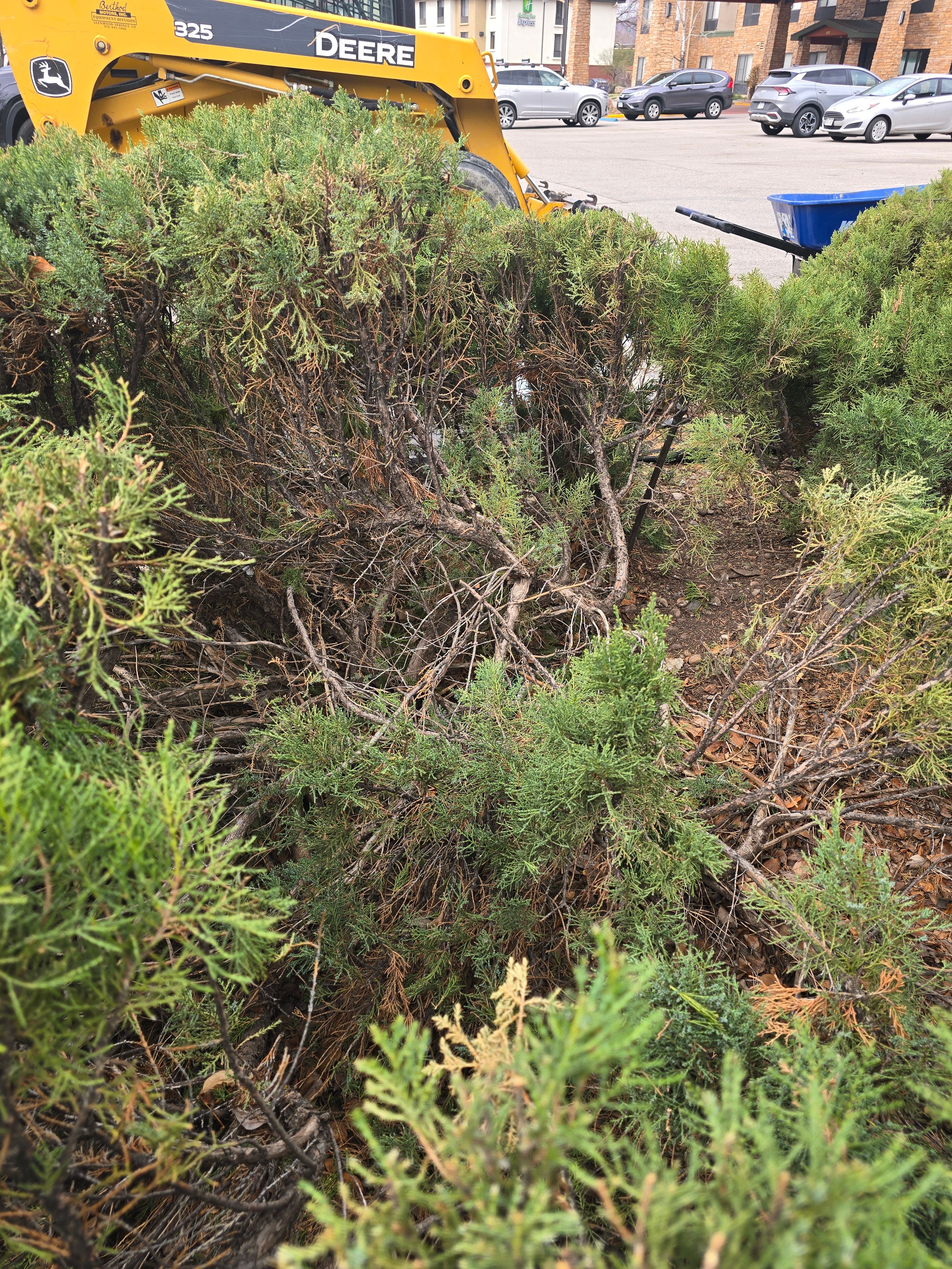 All Photos for LRS: Landscape, Rescue, Snow in Silt, CO