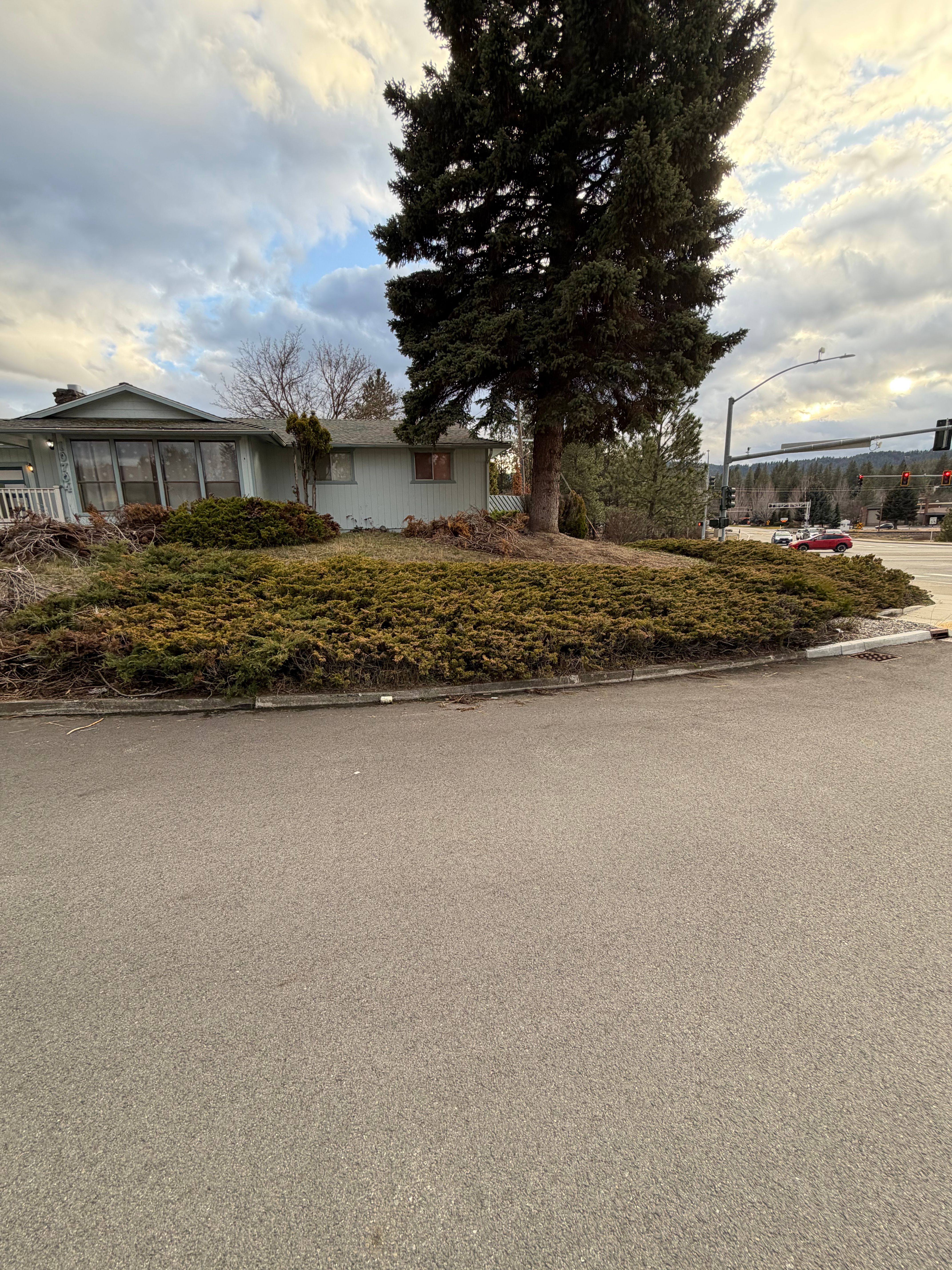  for AP Tree Service in Colbert, WA