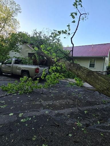  for Branching Out Tree Service in Hastings, MI