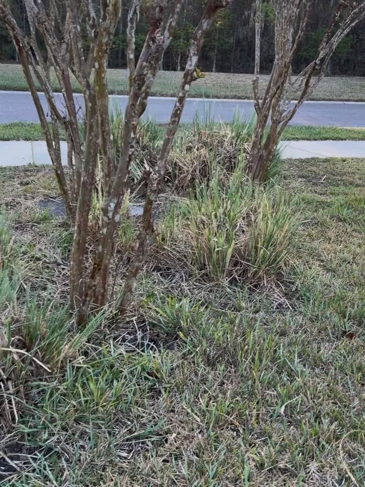  for Whole 9 Yards Services LLC in Green Cove Springs, FL