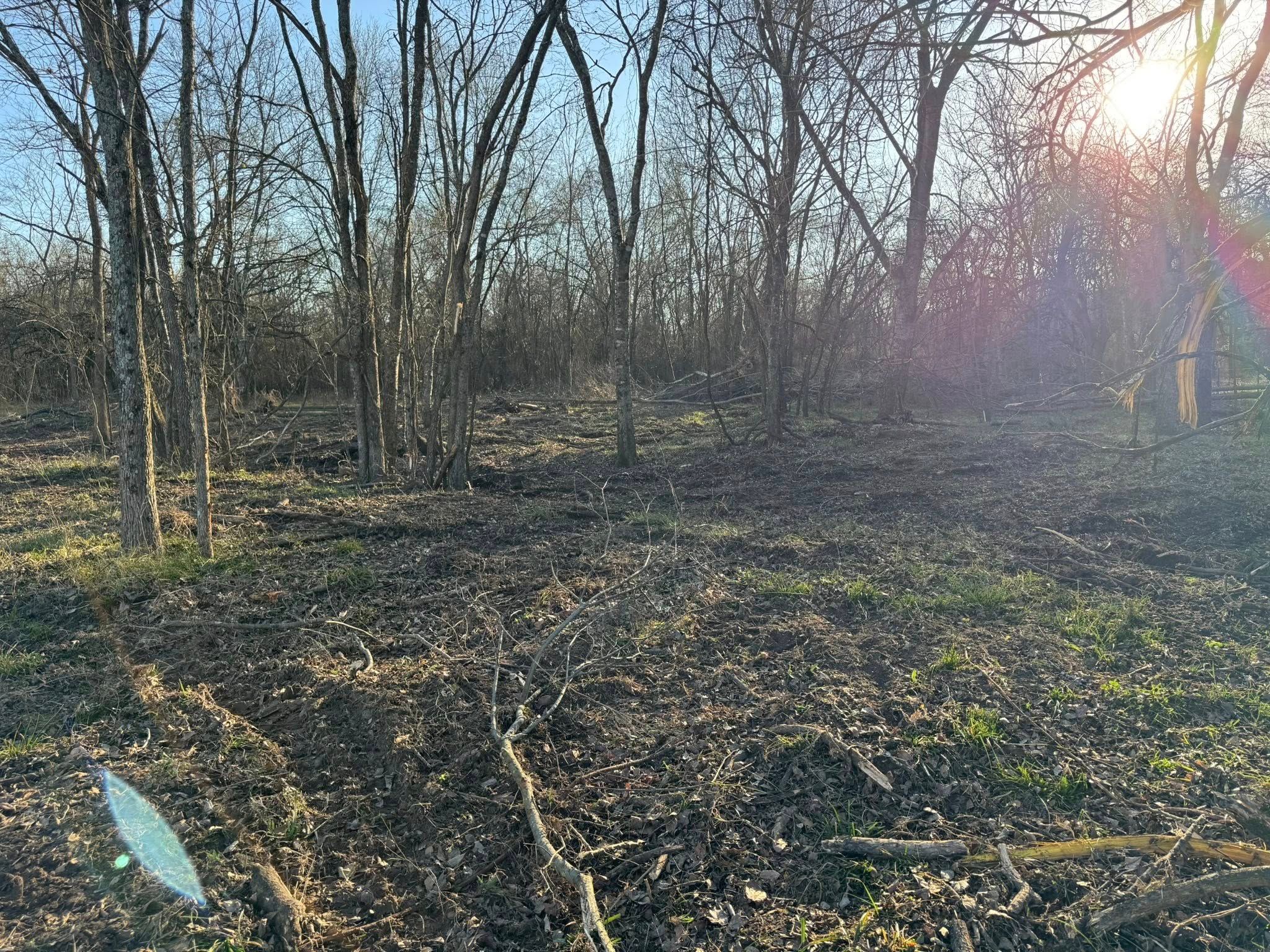  for Superior Land Services in Wills Point, TX