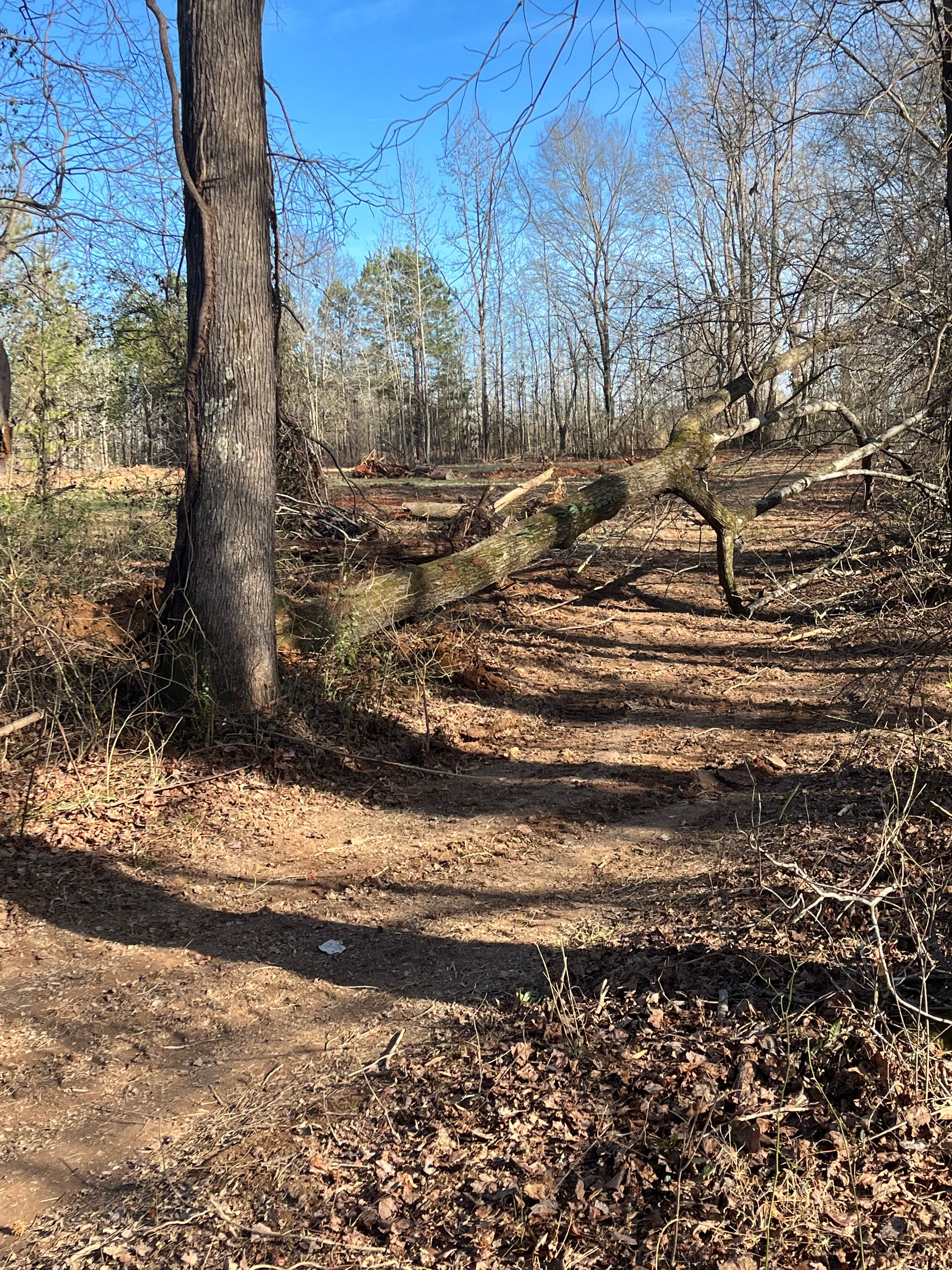  for Seay’s Septic in Inman, SC