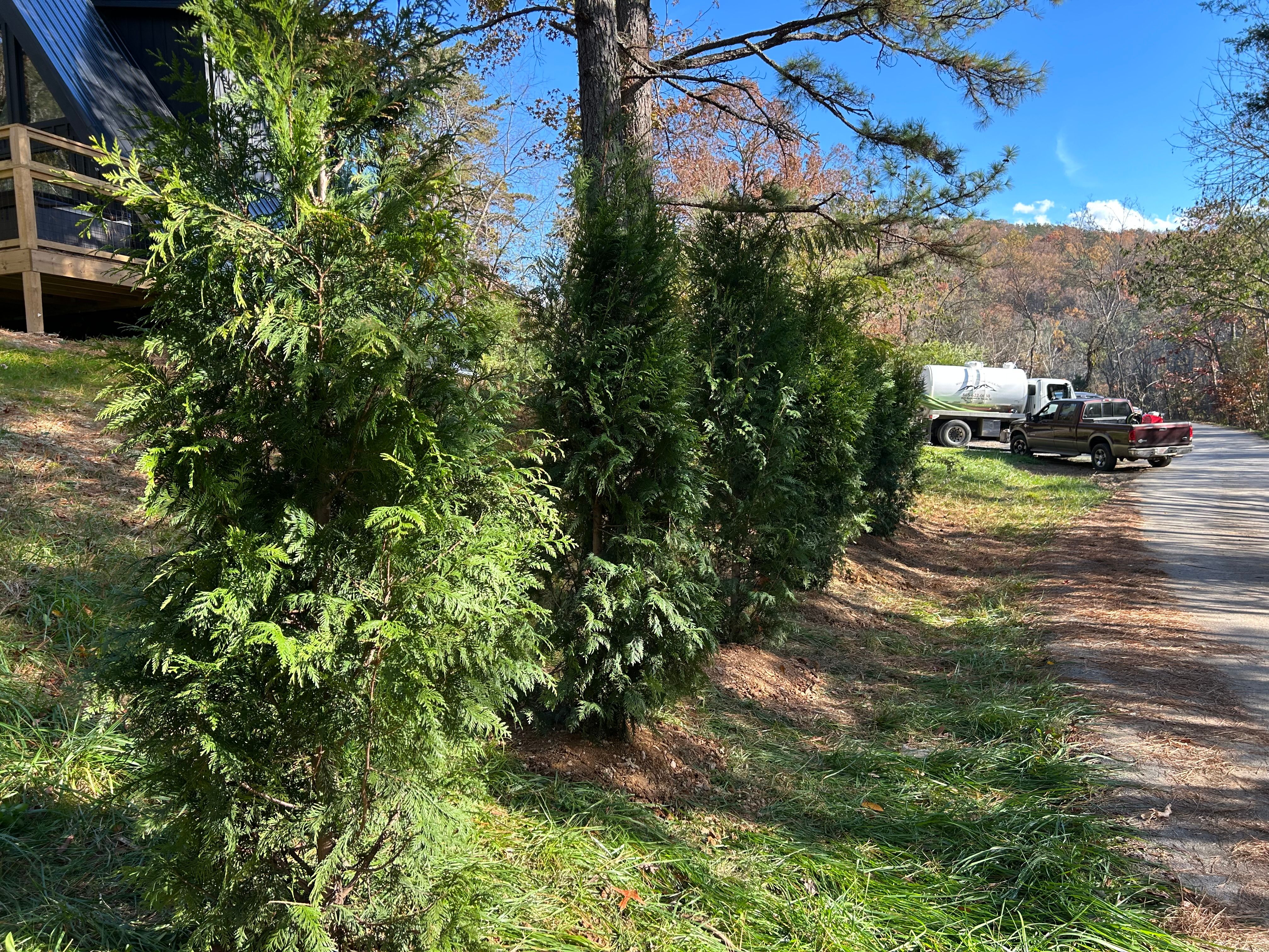  for Jeremiah's Lawncare in Gatlinburg, TN