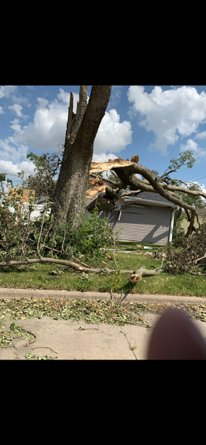 All Photos for Allstate Tree Service and Crane in Spring Lake Park, MN