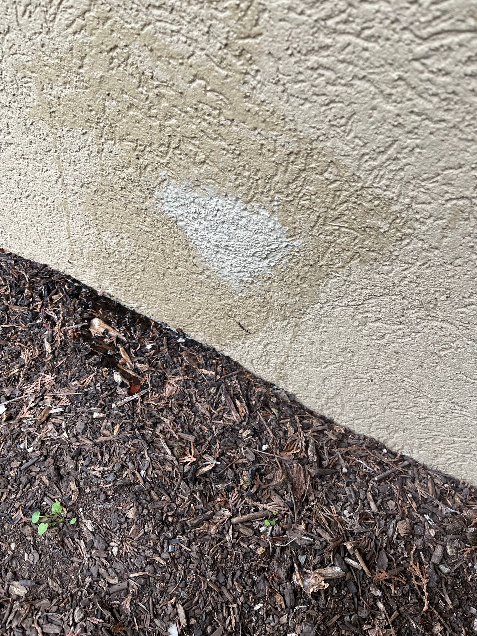  for Tony's Remodeling & Painting in Renton, WA