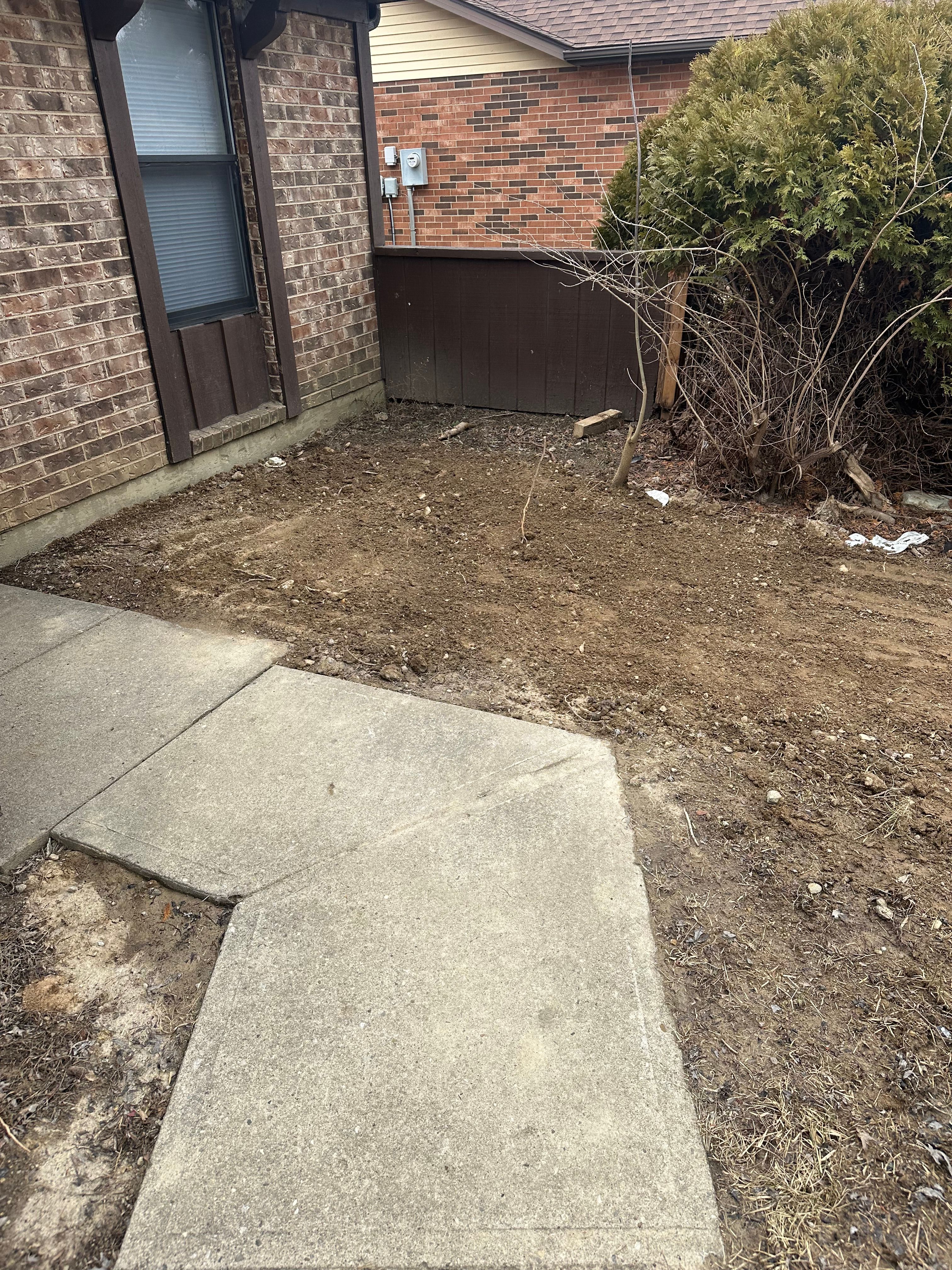 All Photos for Pro Tree Trim & Removal, Llc in Dayton, OH