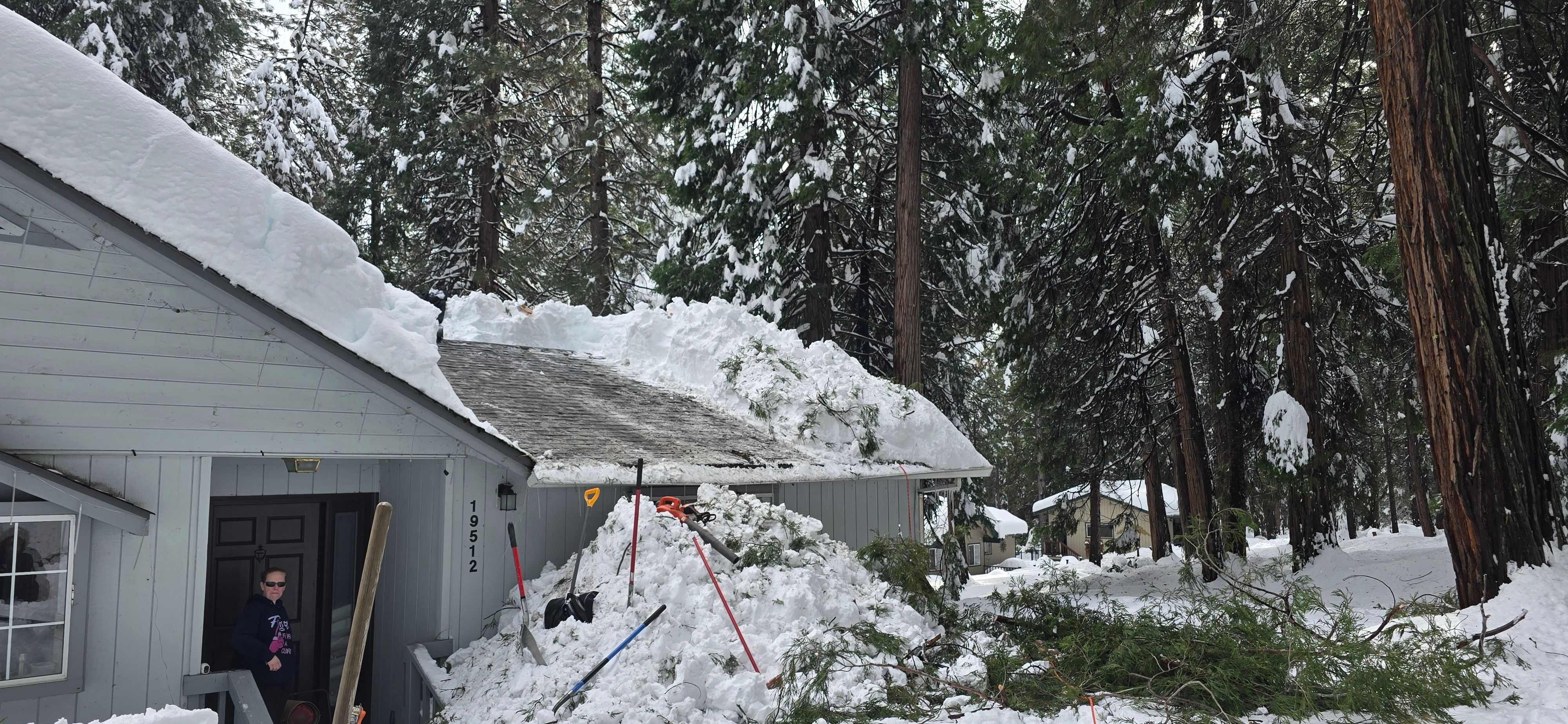  for George Staddan's Professional Tree Care in Placerville, CA