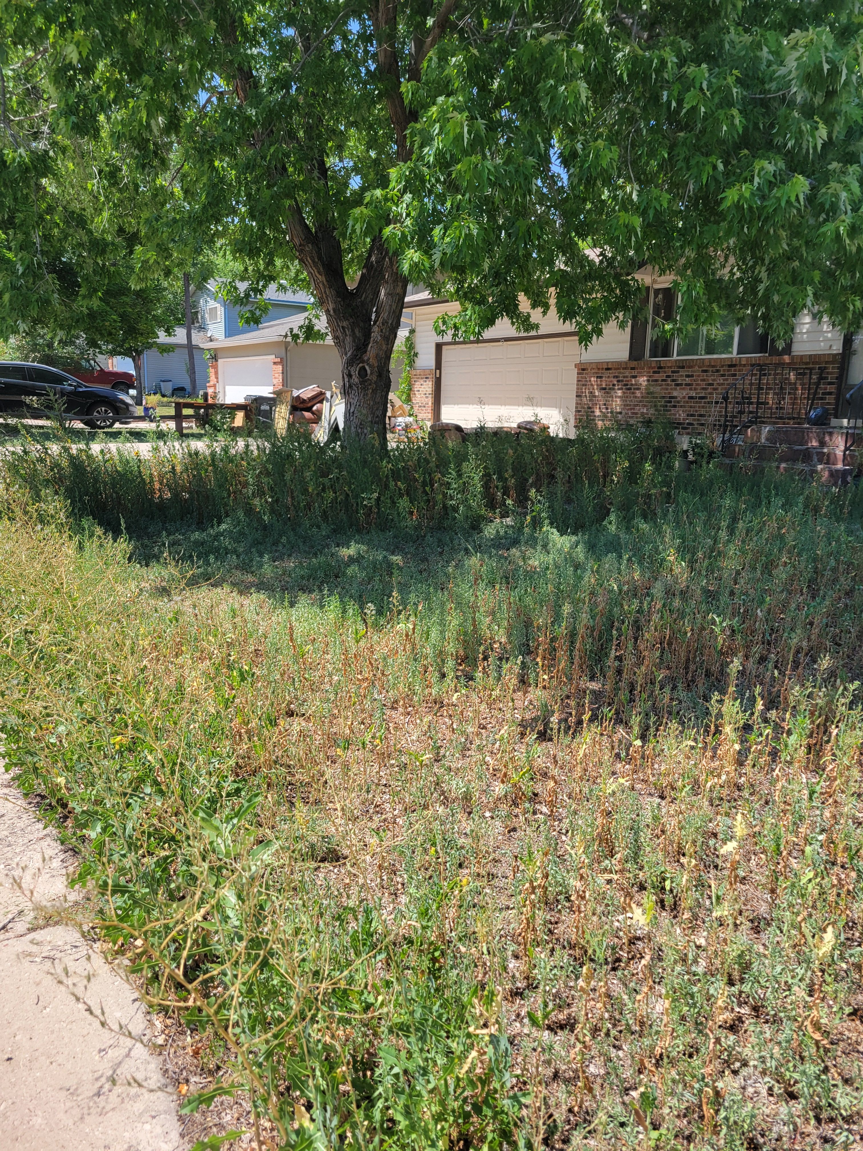  for JS Landscaping Colorado in Denver, CO