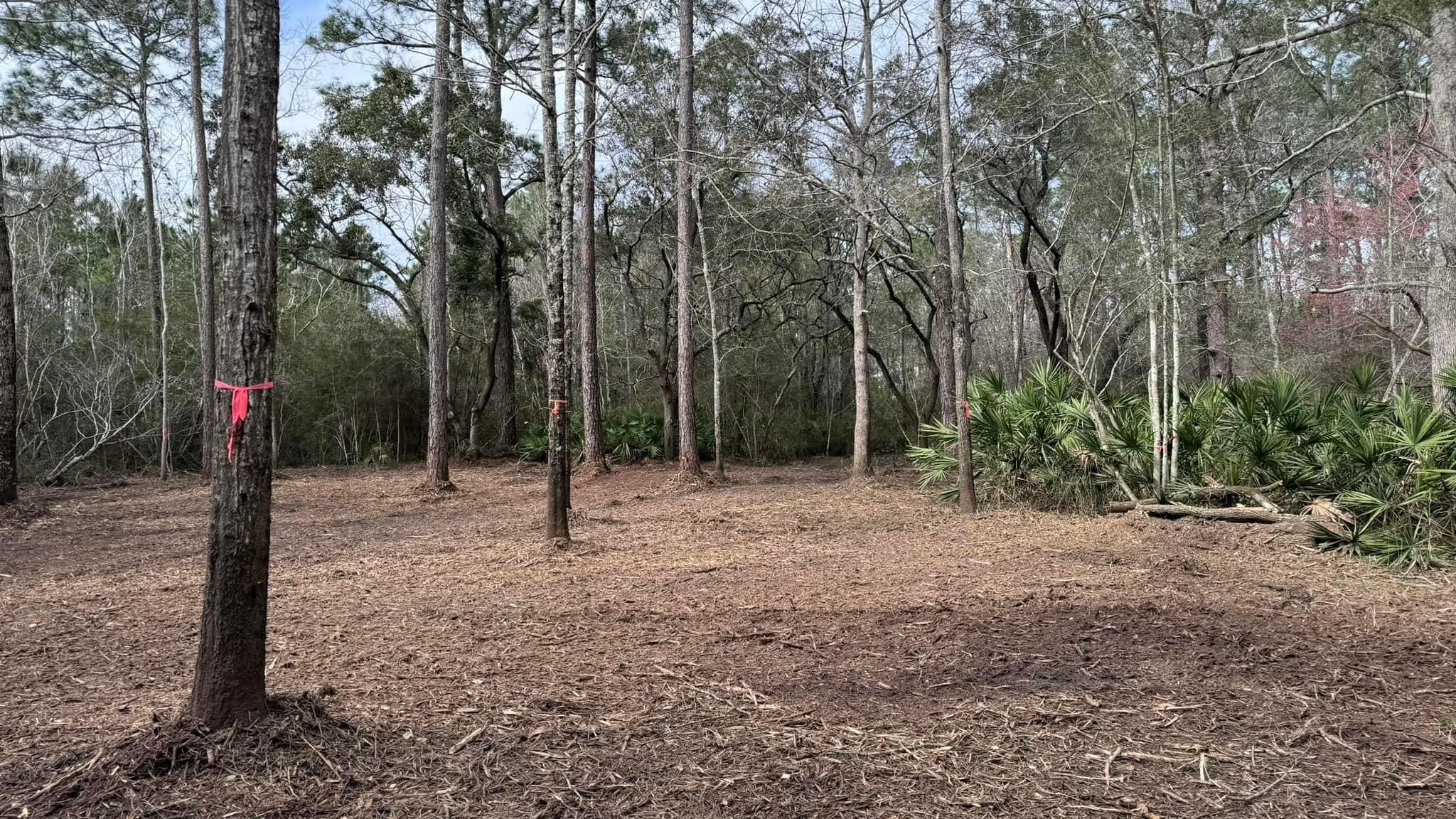 All Photos for White’s Land Maintenance in Milton,, FL