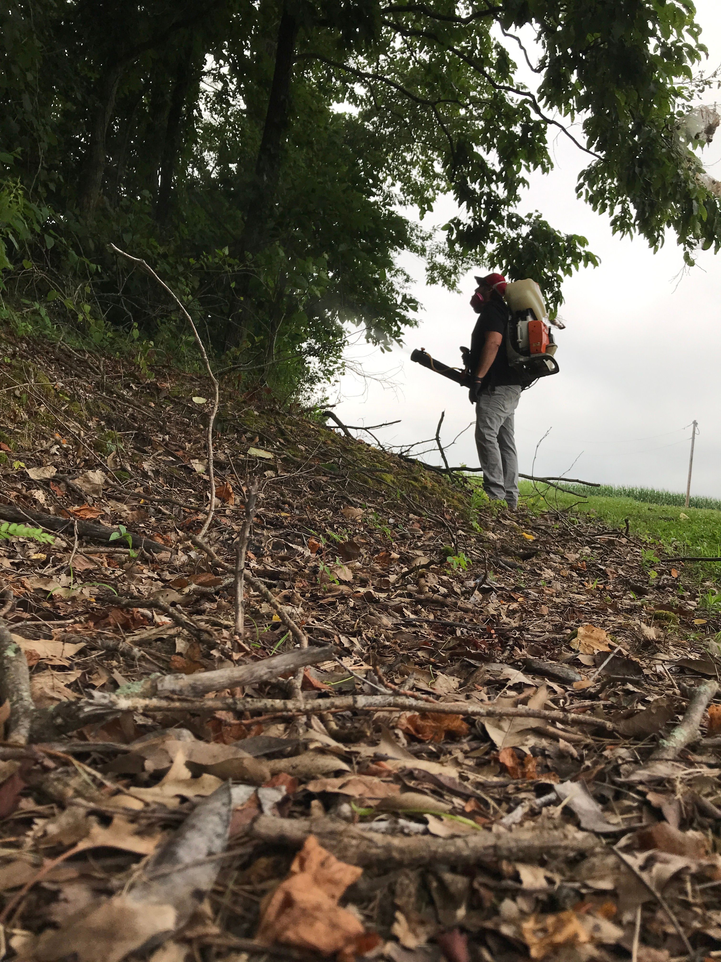  for All-In Pest Control & Home Solutions in Greene County, IN