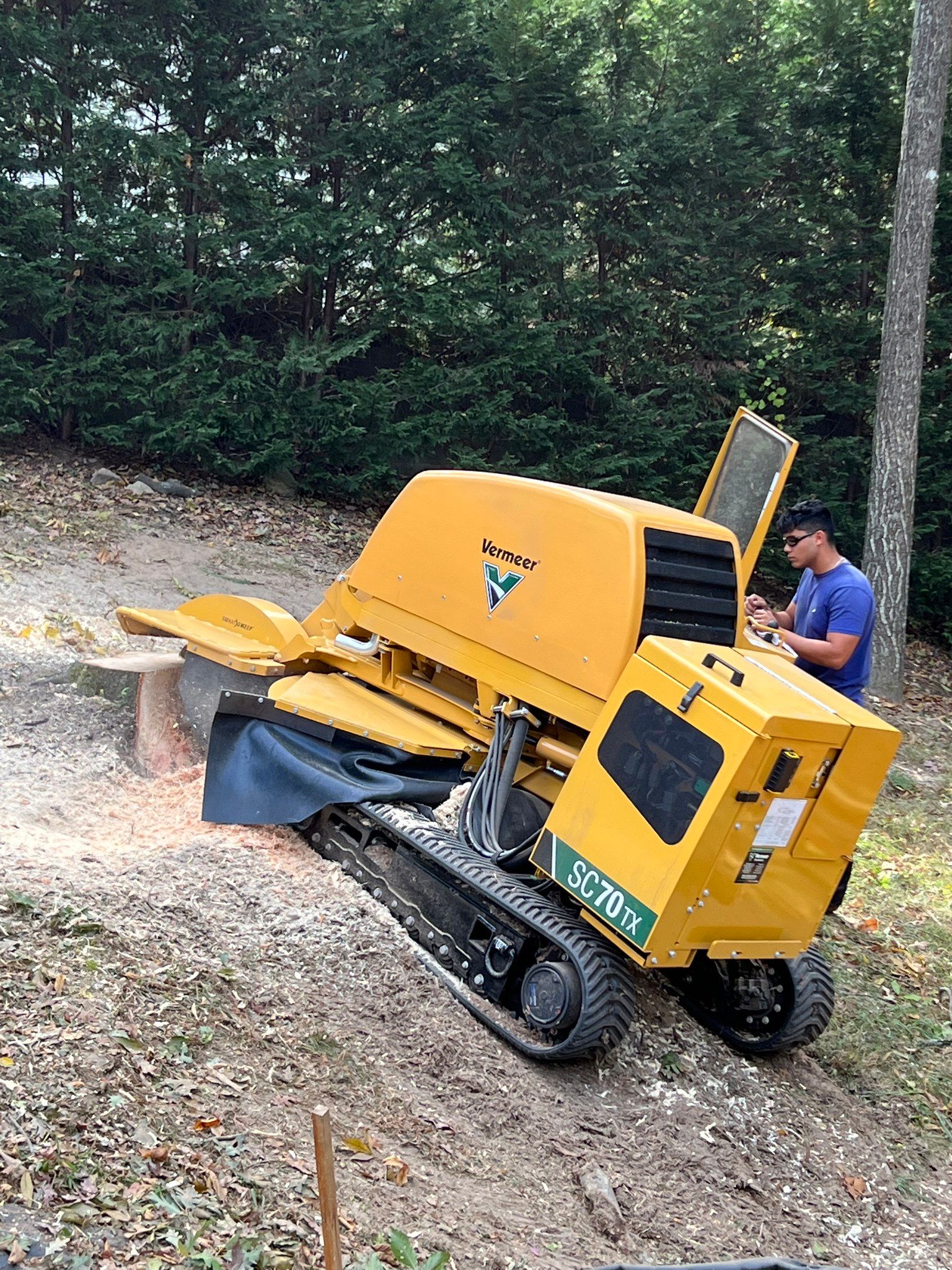 Other Services for J&M Stump Grinders LLC in Douglasville, GA