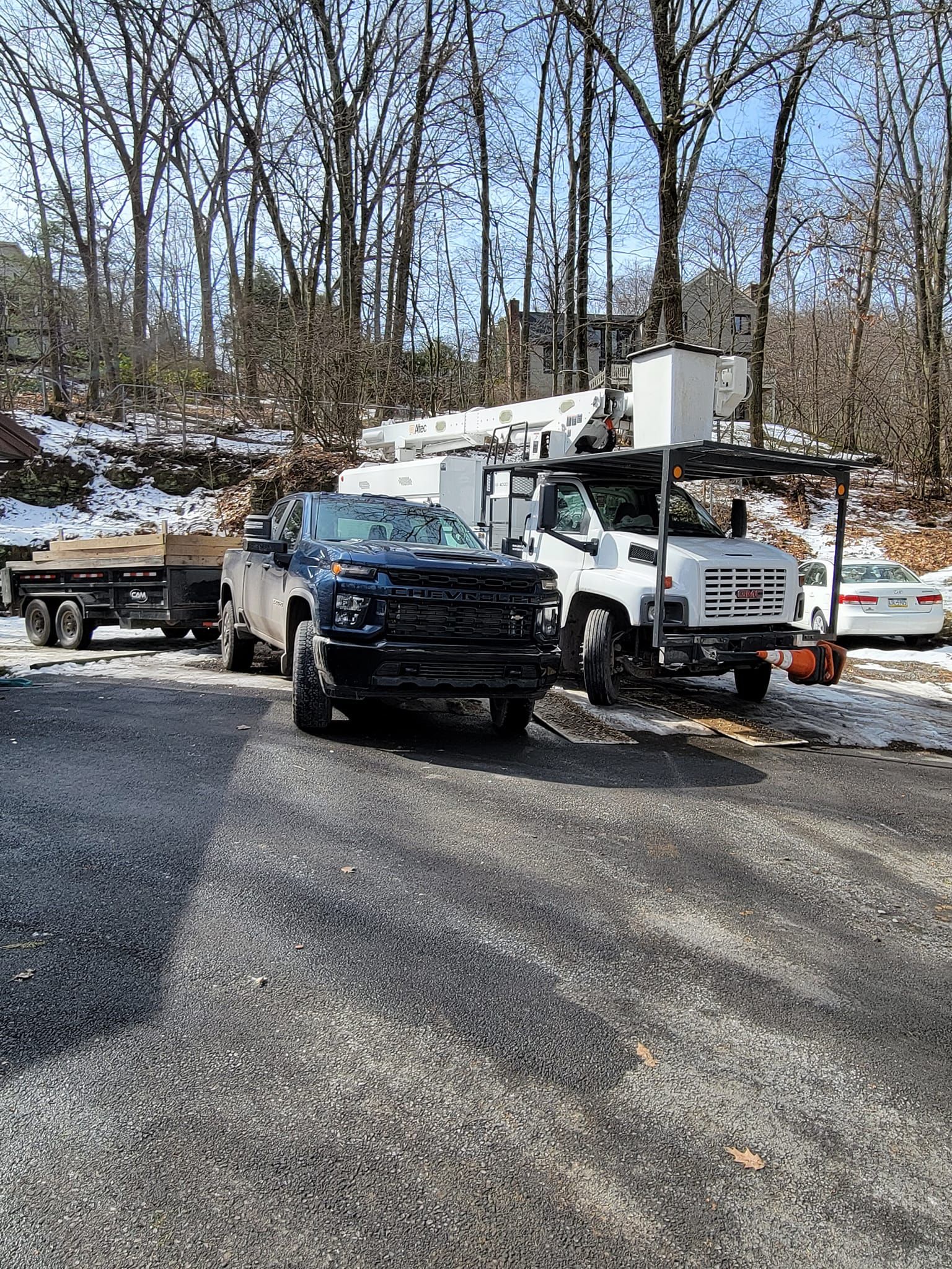  for AAA Tree Cutting in Shavertown, PA