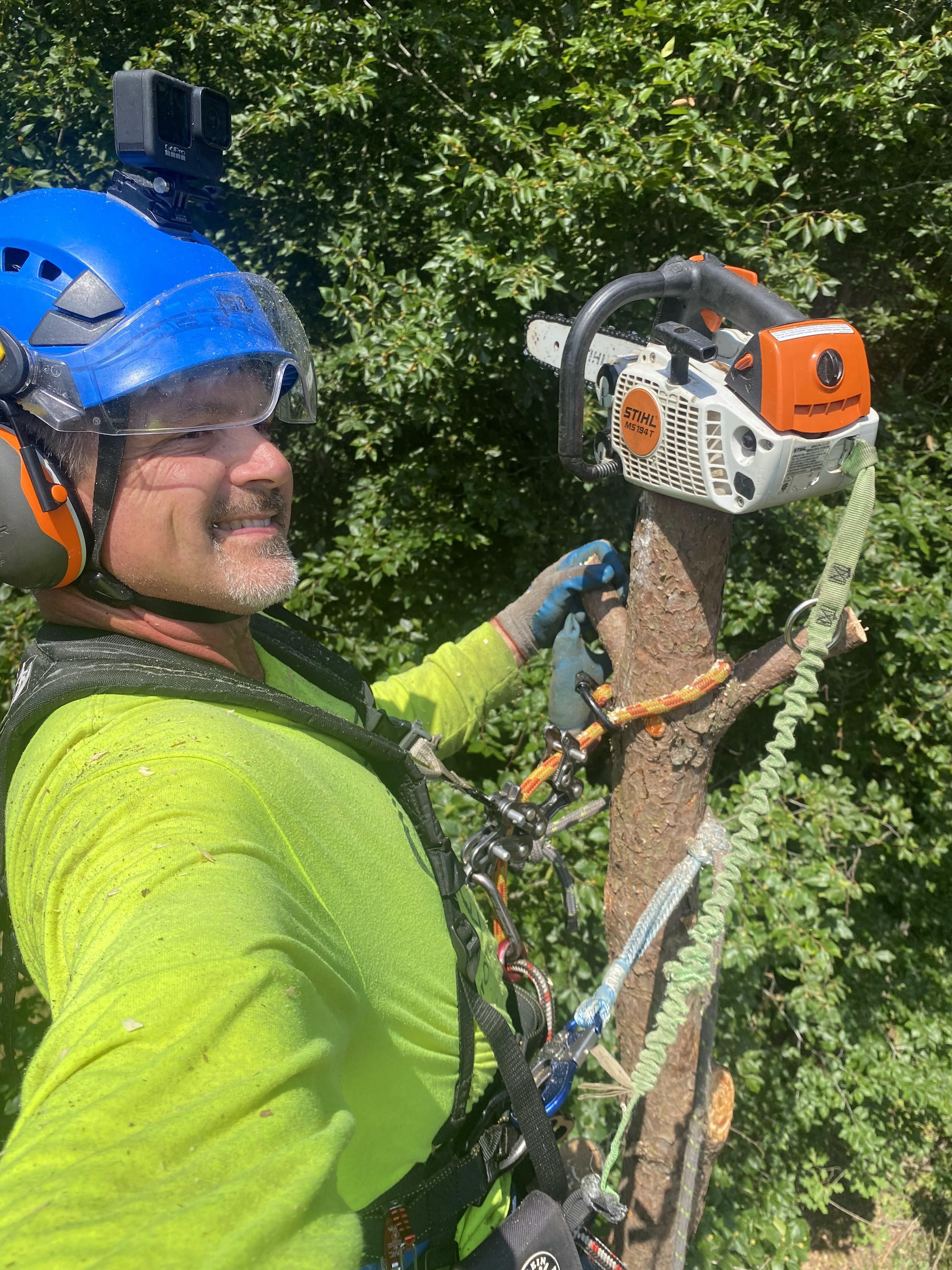  for Ascending Tree Service LLC in Kenbridge, VA