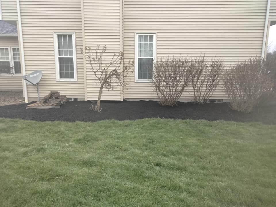  for Billiter's Tree Service, LLC in Rootstown, Ohio