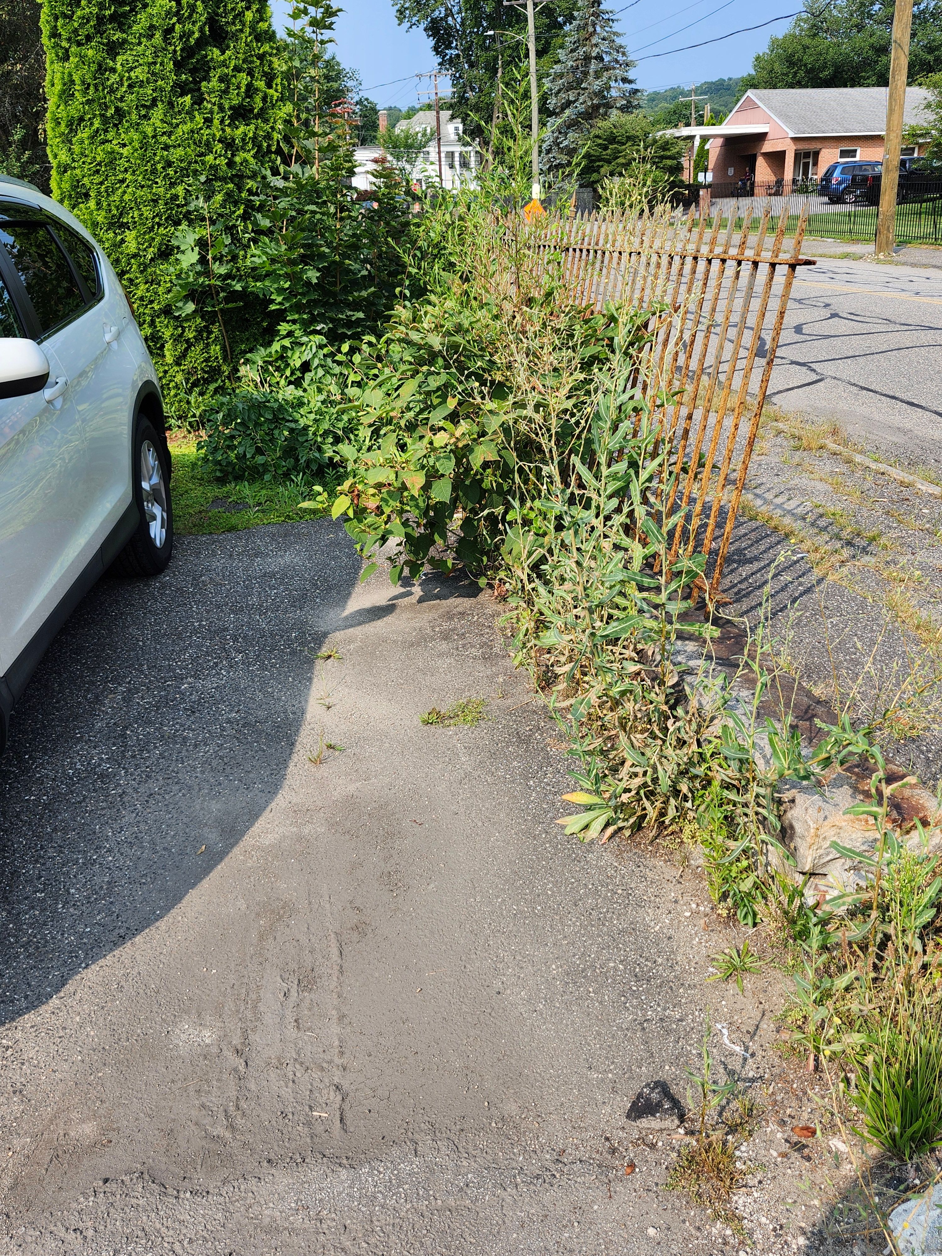 Muclhing & Weeding for Landscape Innovations LLC in Torrington, CT