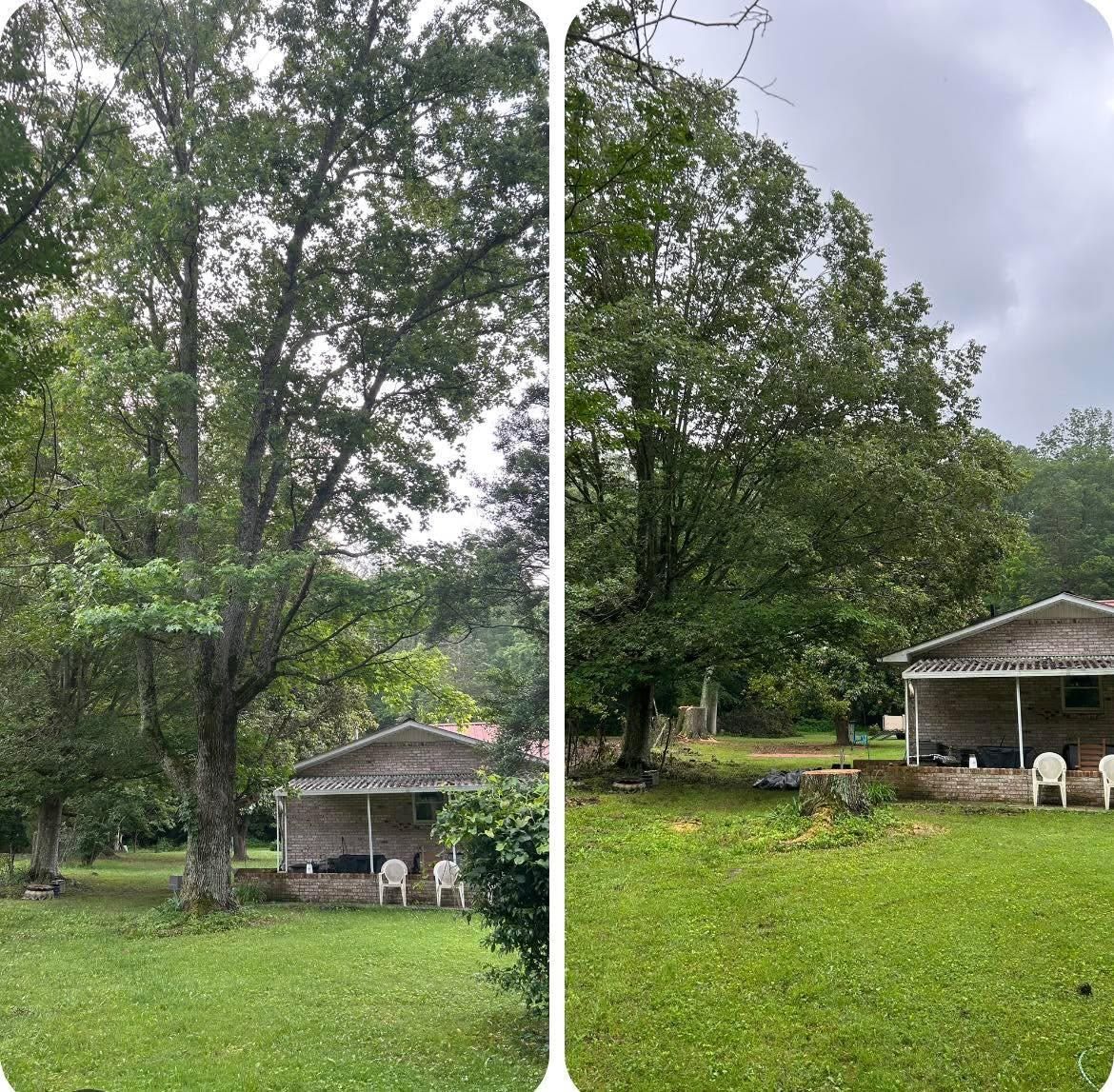  for McBee’s Tree Service in Sewanee, TN