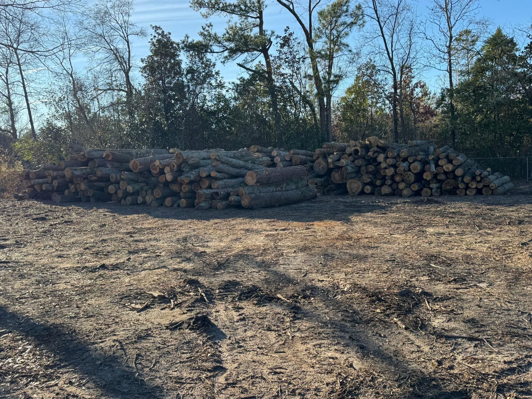 All Photos for Clean Acres in Hartsville, SC