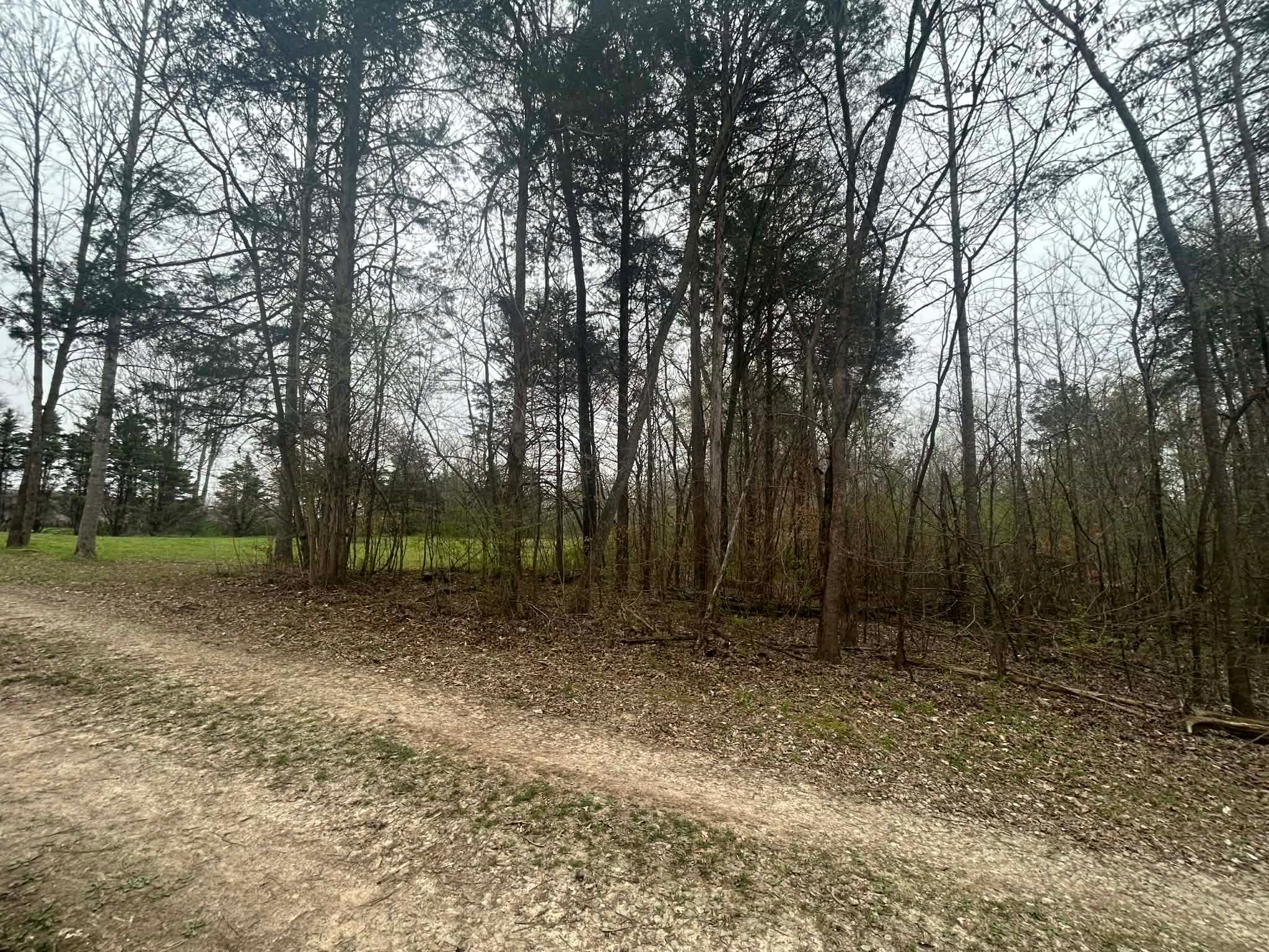  for Z's Land Management & Forestry Mulching in Smithville, TN