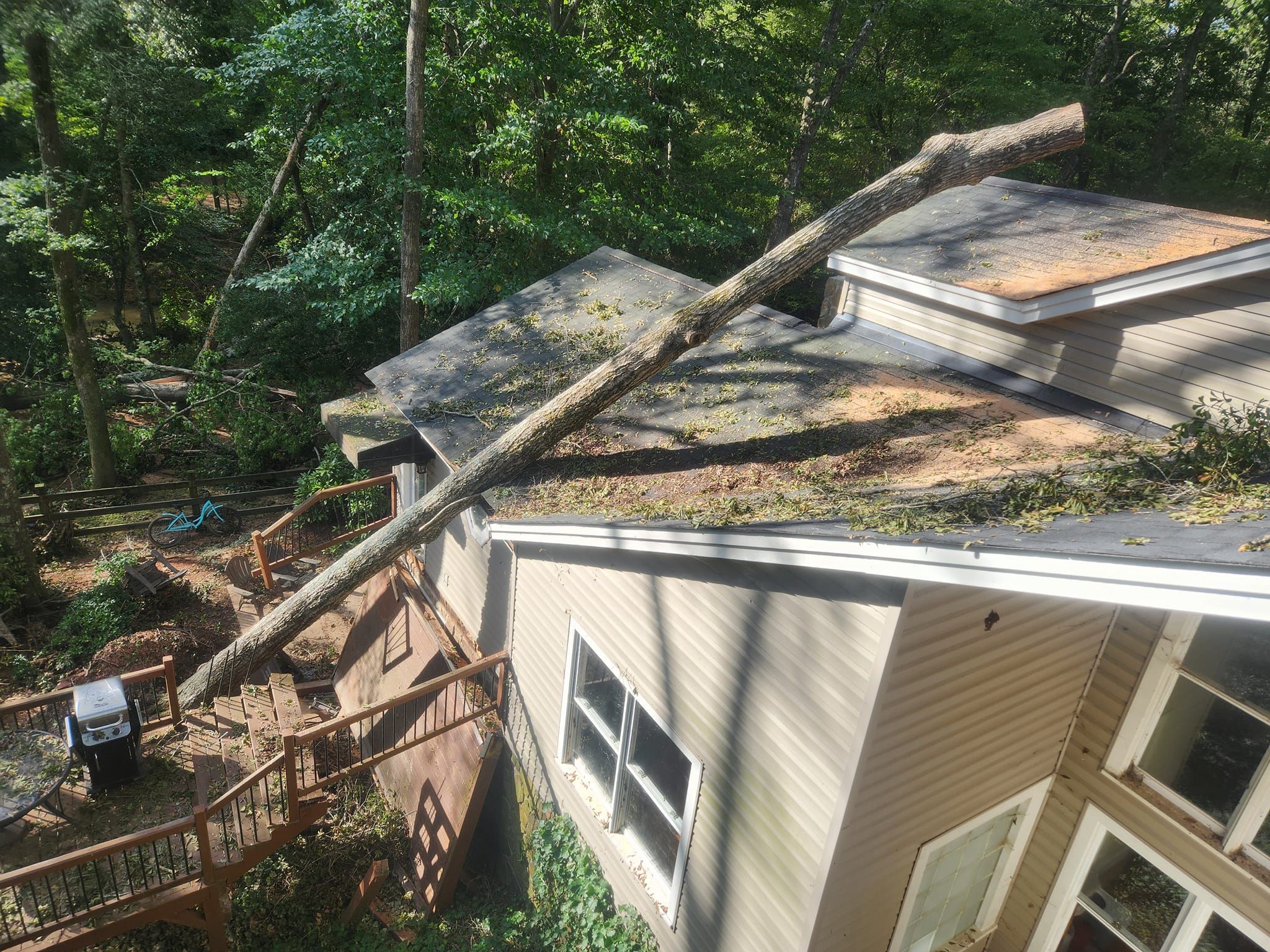 Tree Removal for Stumpbusters Tree Service in Louisa County, VA