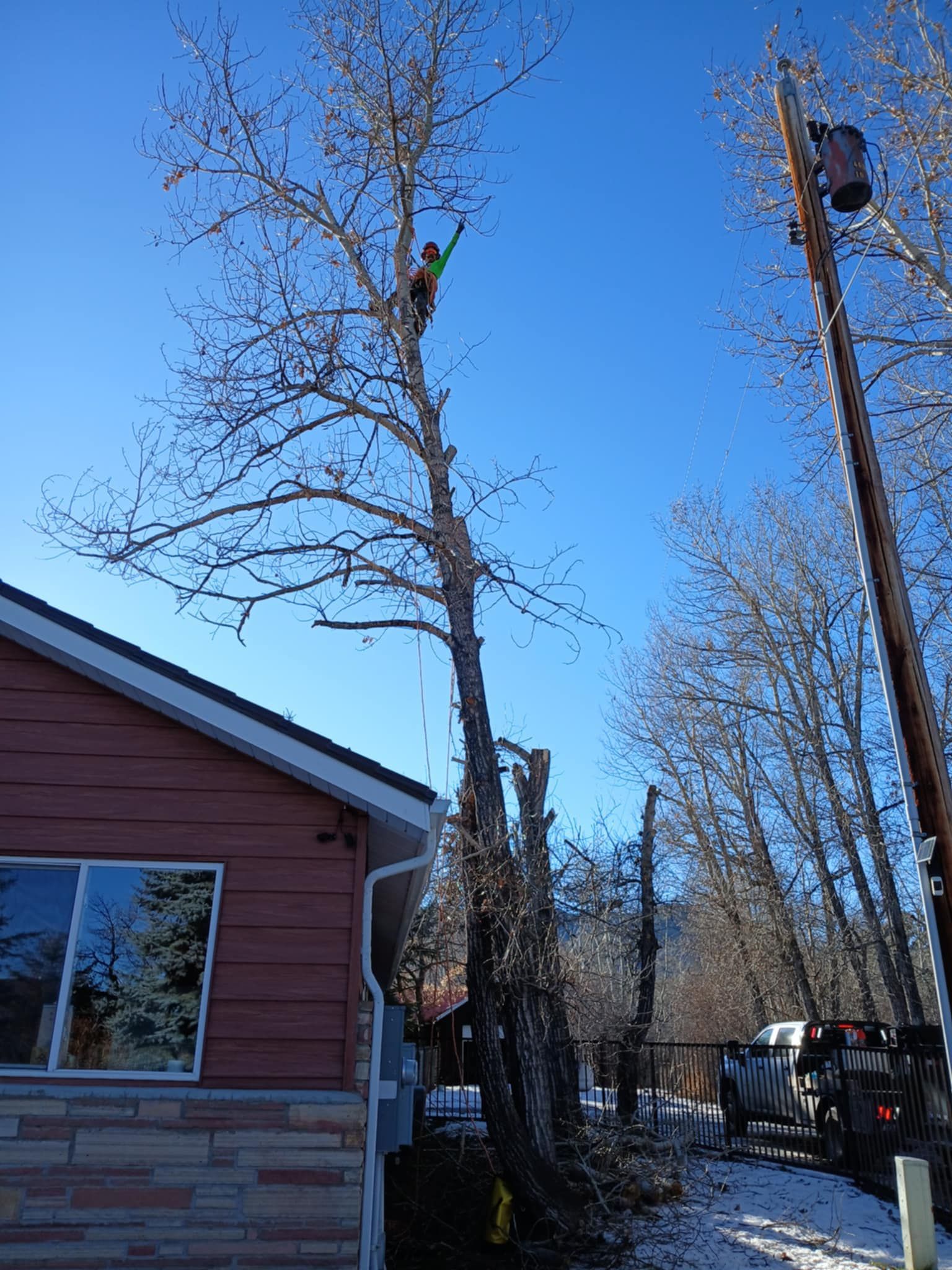  for Two Fellers Tree Service in Buffalo, WY