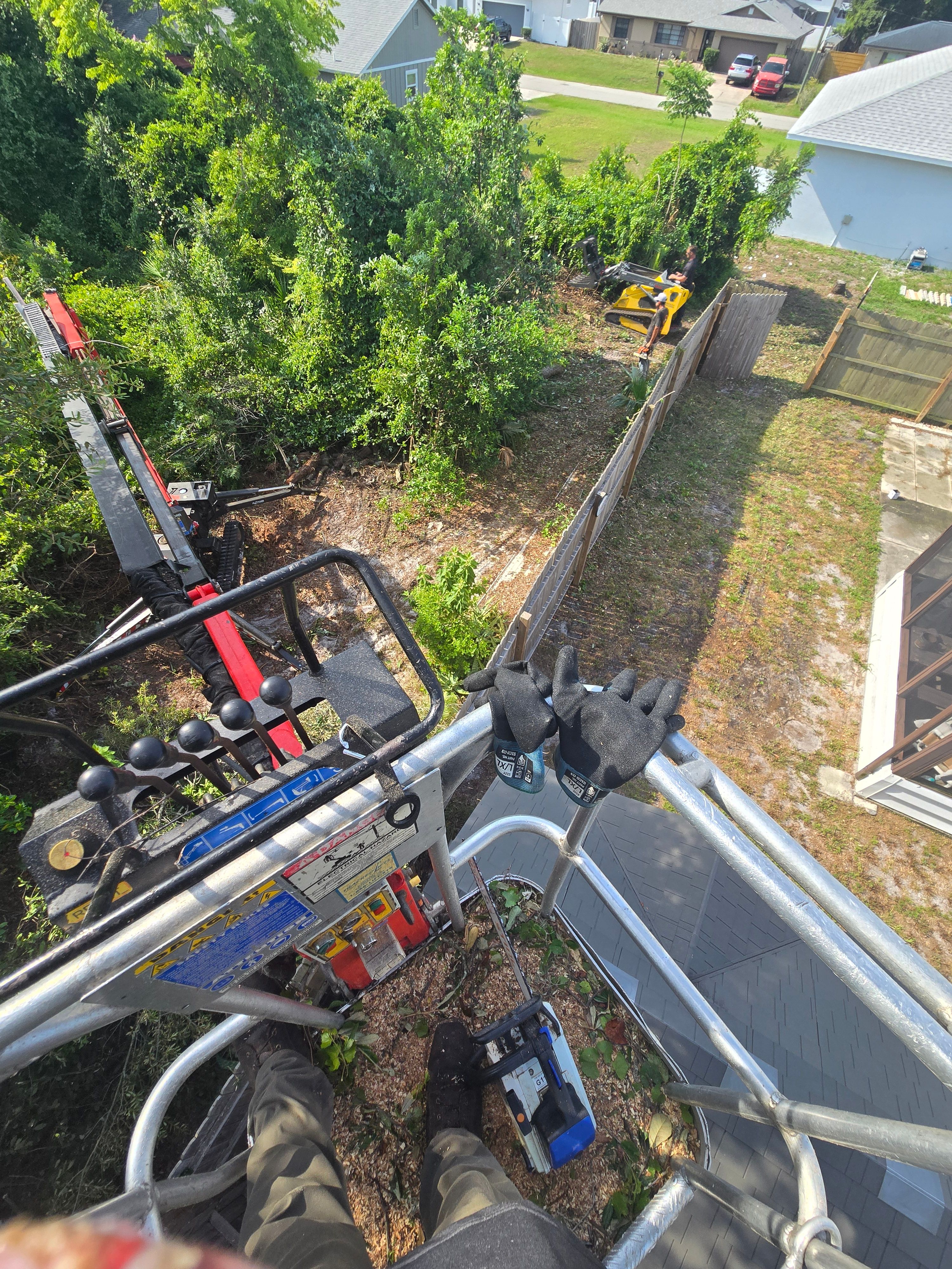 All Photos for Near Me Tree Service, Inc. in DeLand, FL