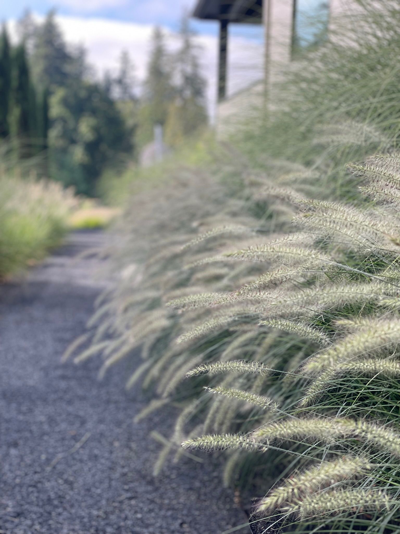  for Courtney Lewis Landscape Design in Portland, OR
