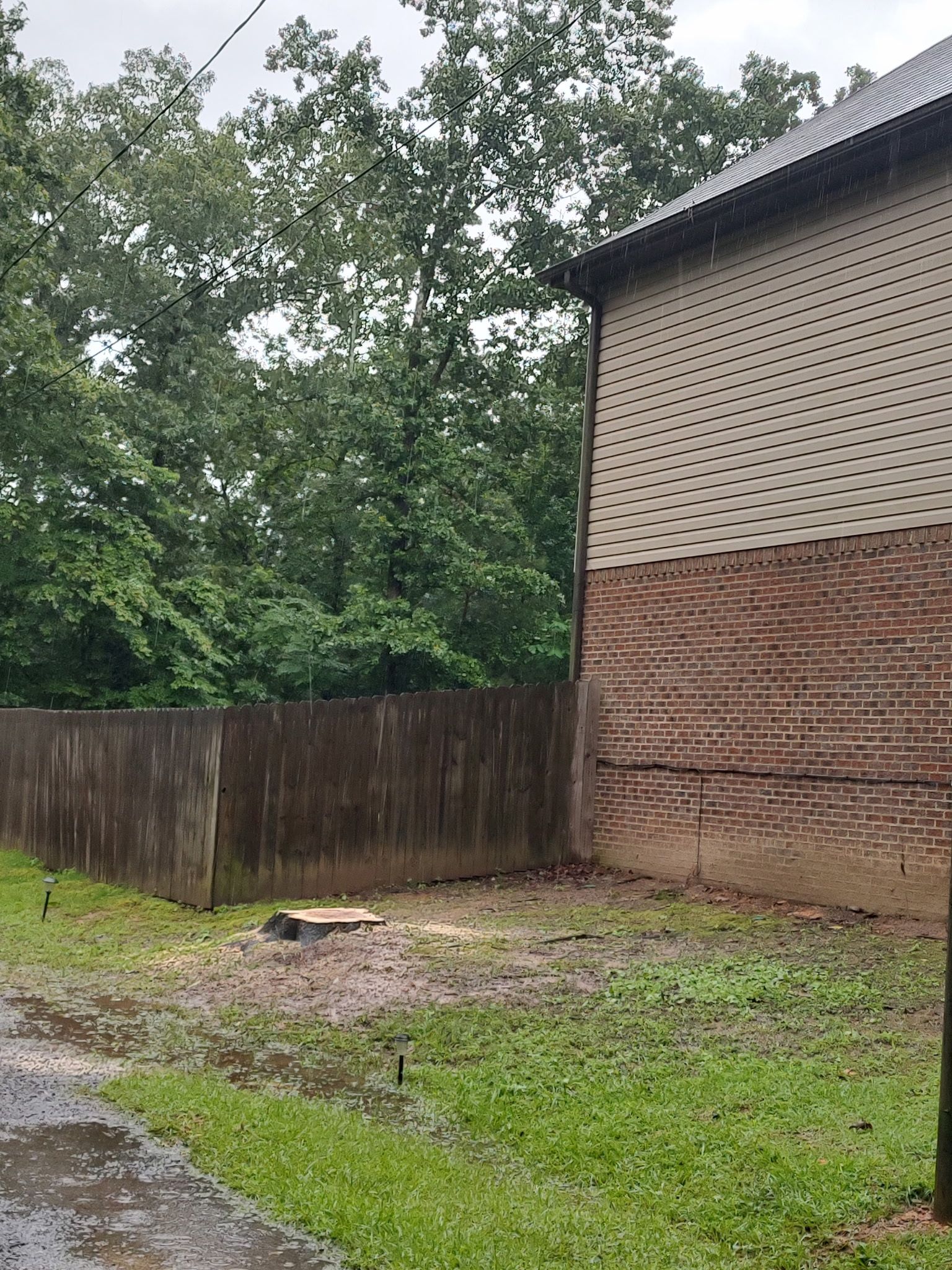  for DNA Tree Service in Birmingham, AL