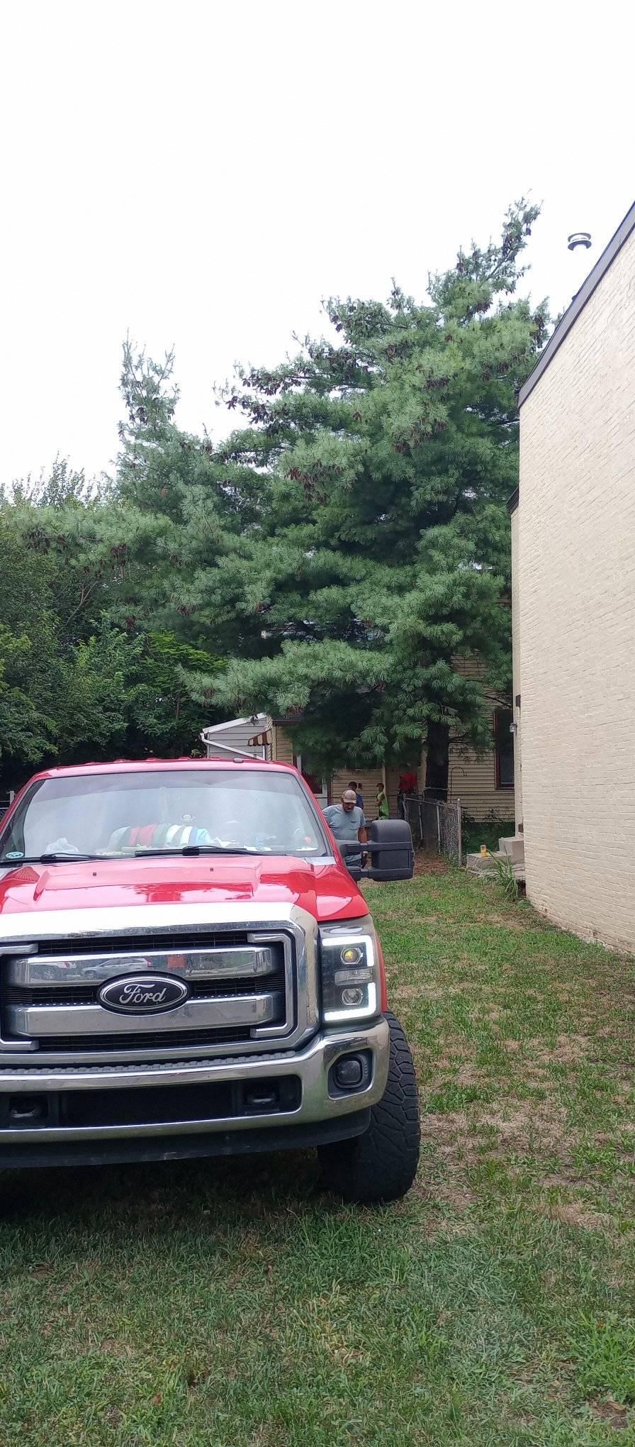  for Kingdom Tree Trimming and Removal LLC in Covington, KY