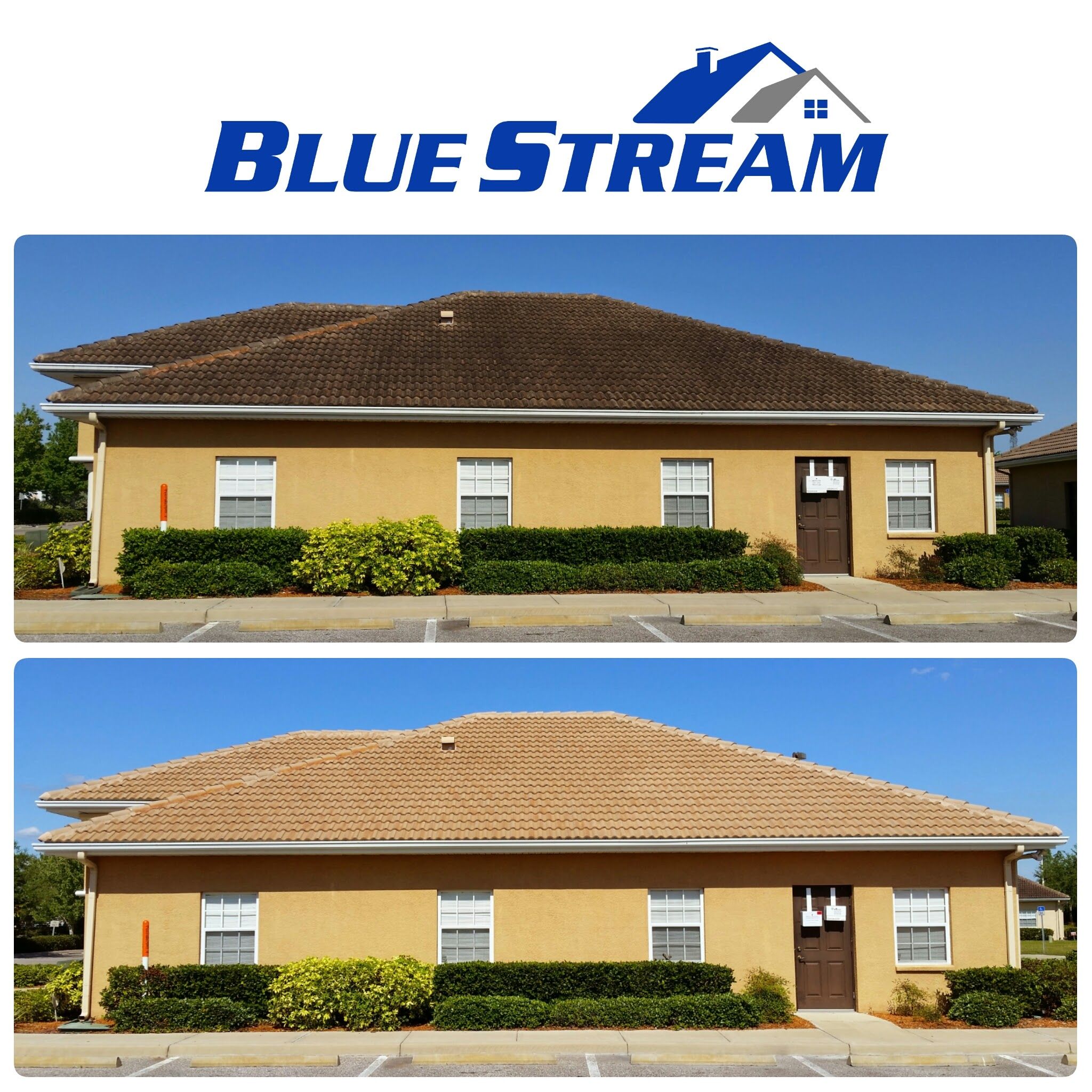  for Blue Stream Roof Cleaning & Pressure Washing in Tampa, FL