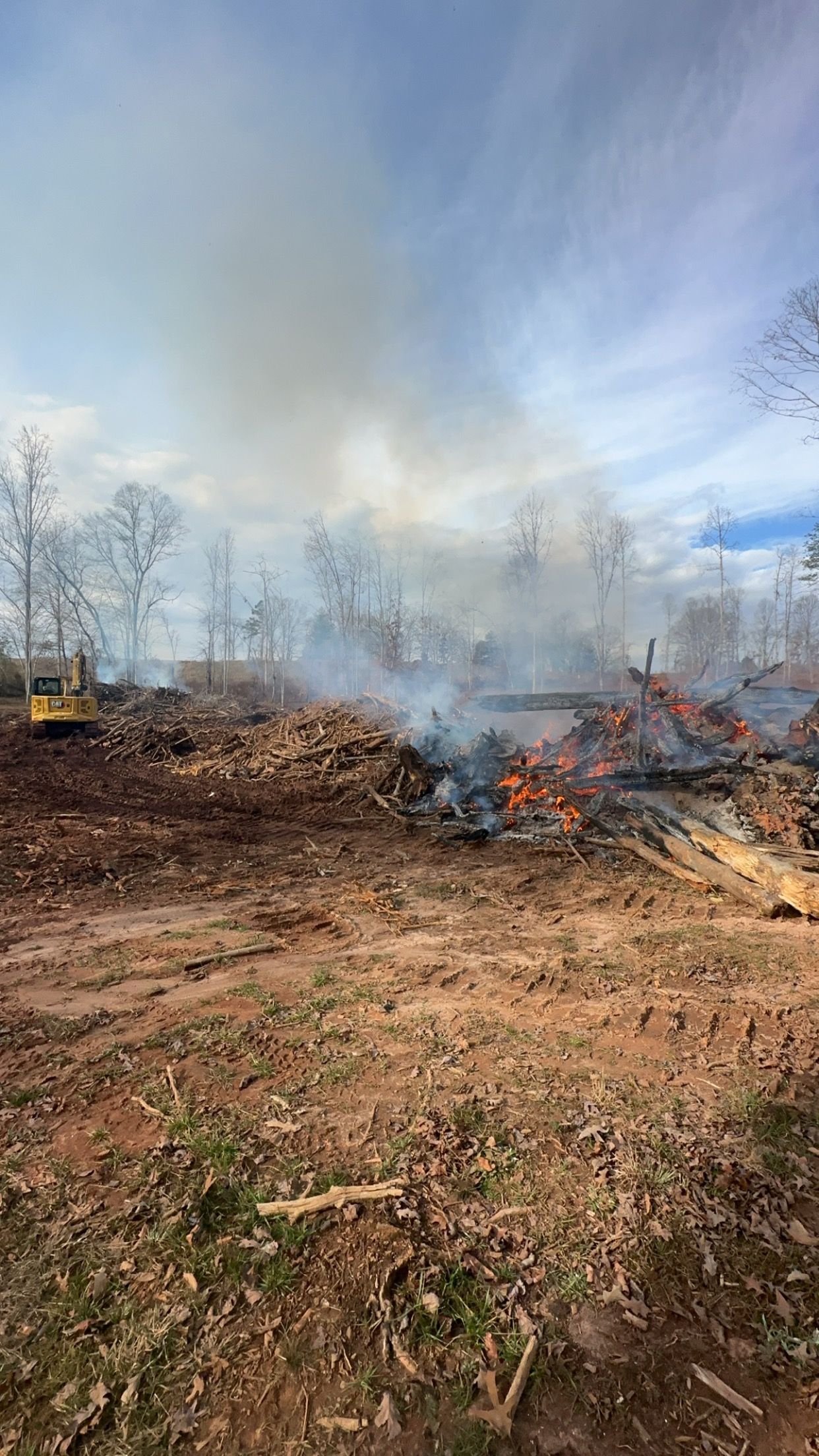  for Stines and Company  in Rutherfordton, NC