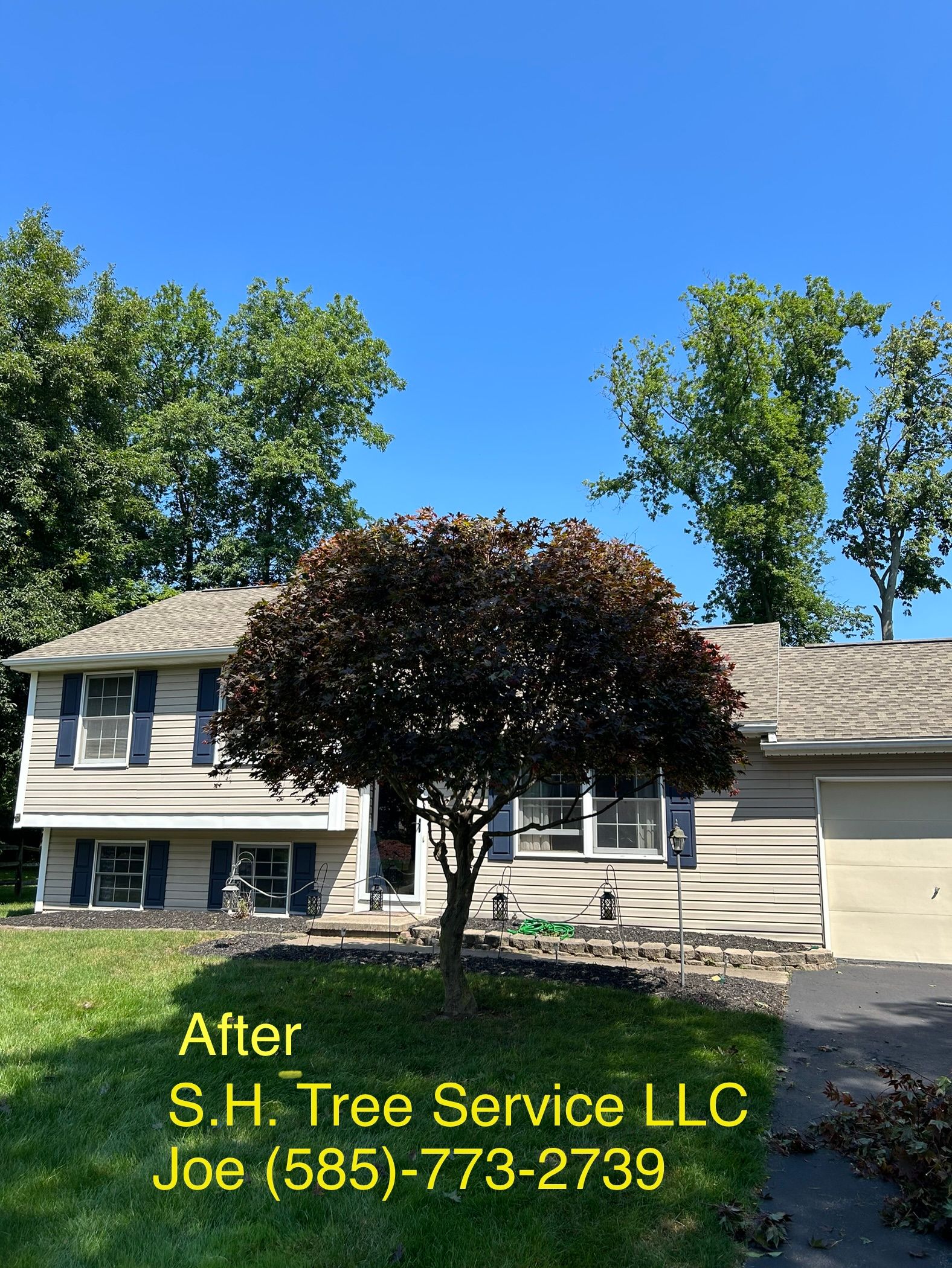  for S.H. Tree Service LLC in Hilton, NY