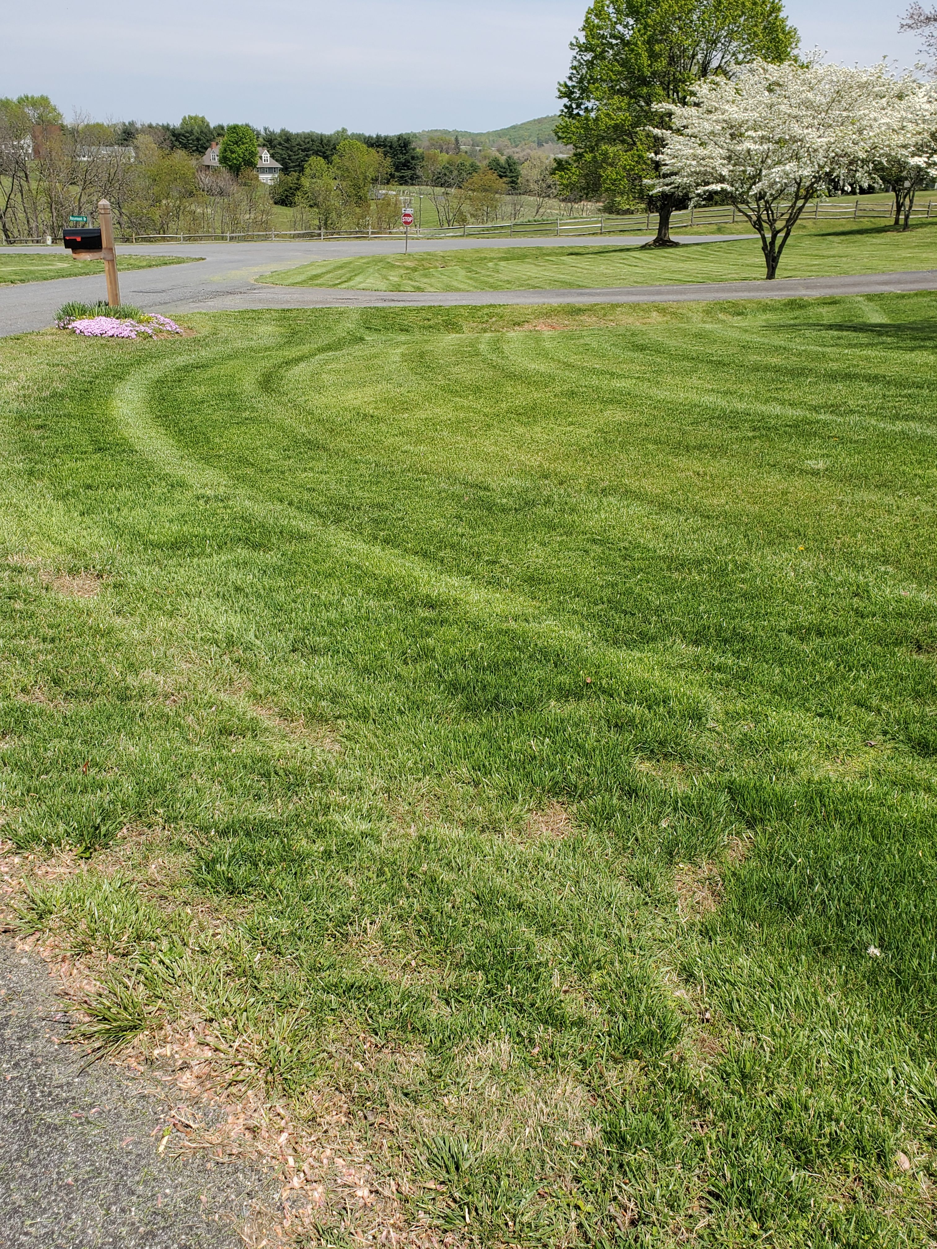  for Lakeside Landscaping  in Gordonsville, VA
