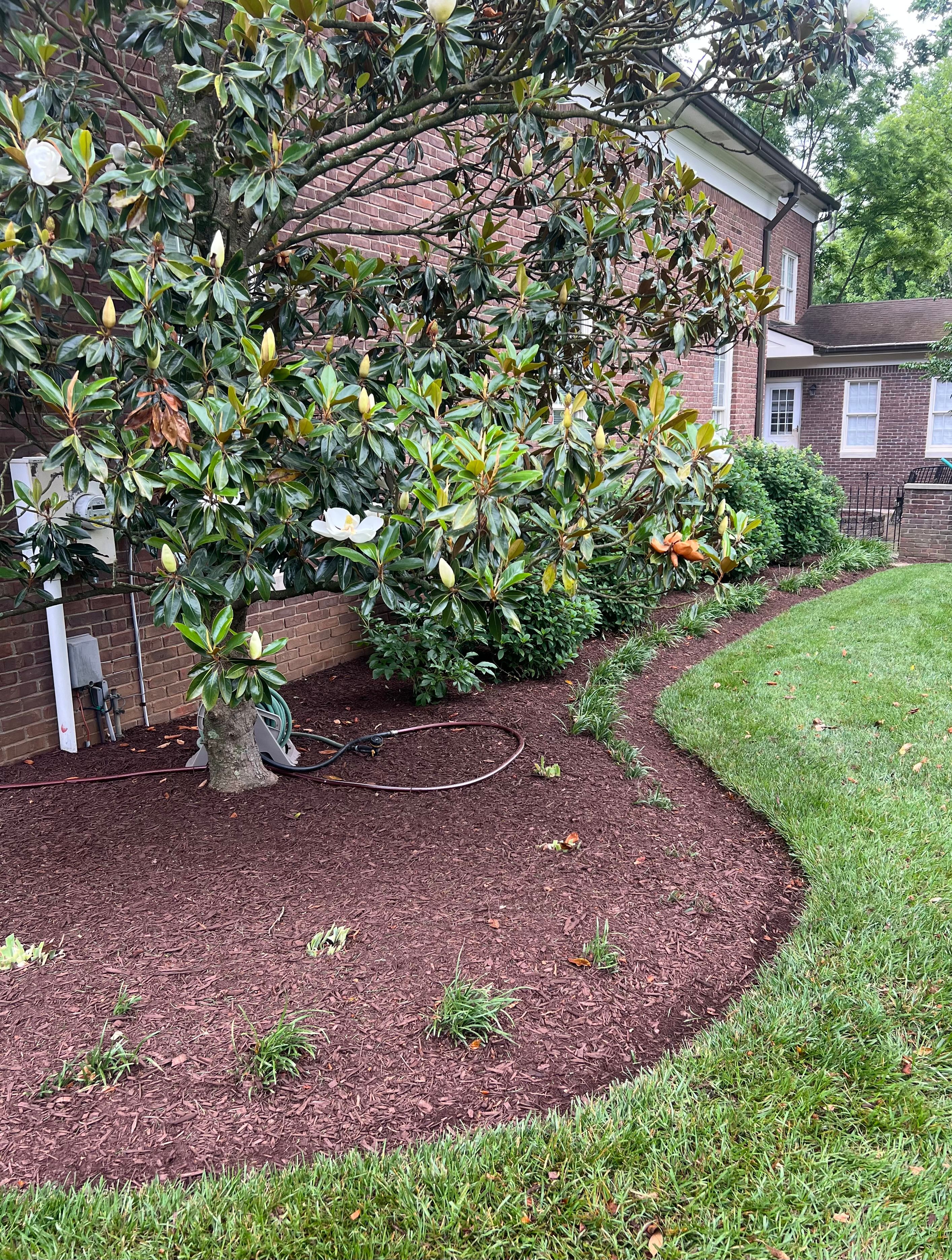  for Full Service Landscaping in Louisville, KY