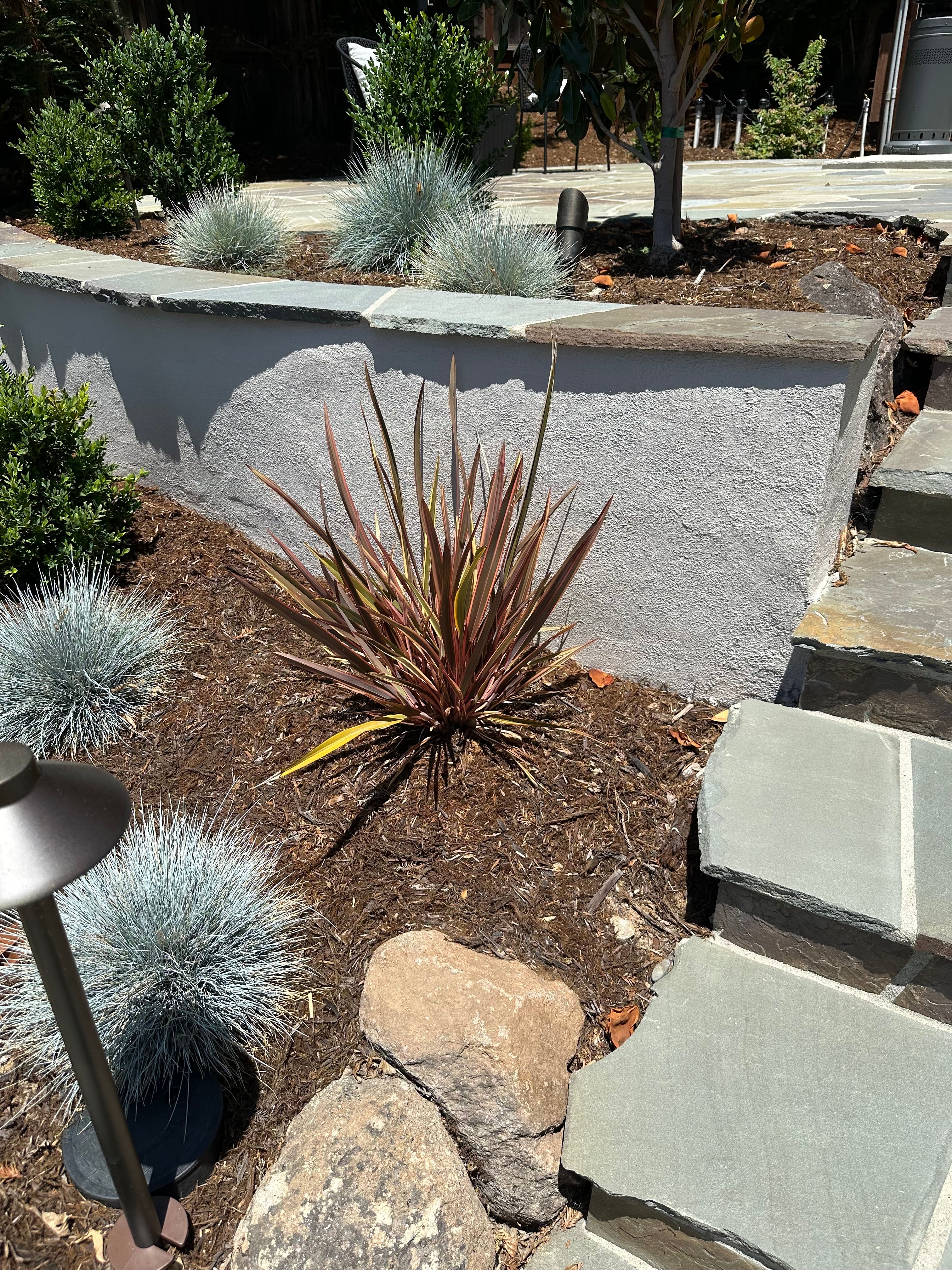 All Photos for LEBEC, Inc in Brentwood, CA