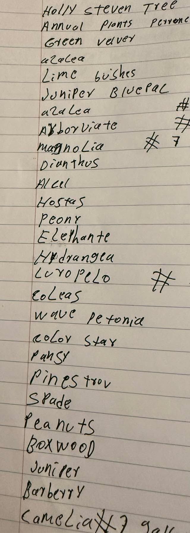  for Sanchez Z. Landscaping in Memphis, TN