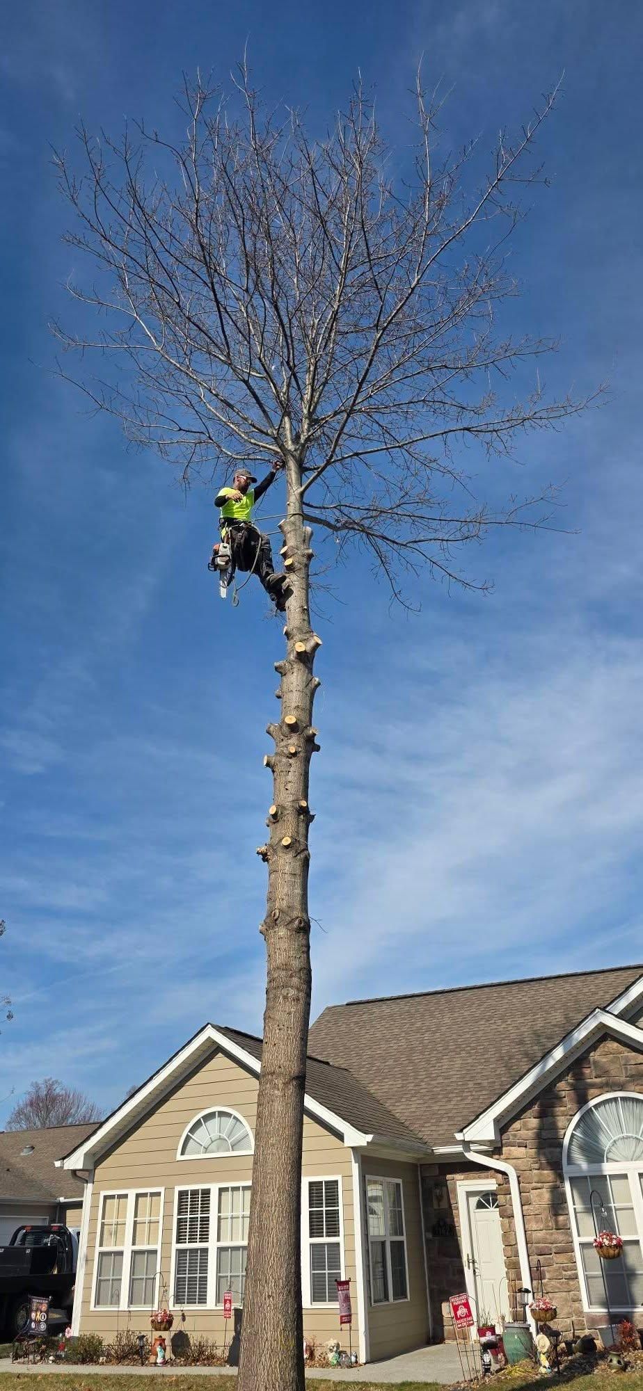  for Hamlett Tree Service LLC in Clover, VA