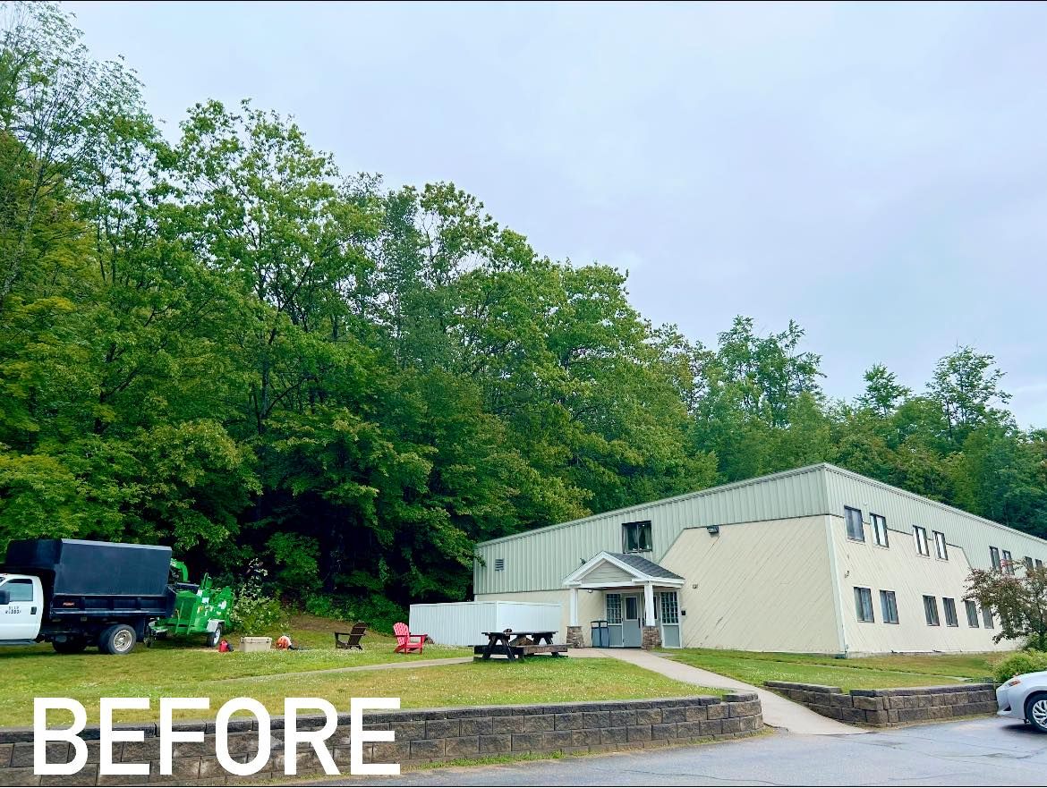  for Blue Ribbon Tree Service in Gilford, NH