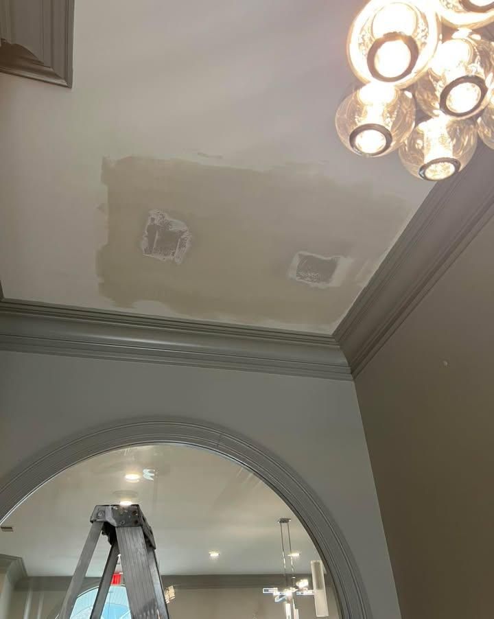  for Susan's Painting in Greensboro, NC