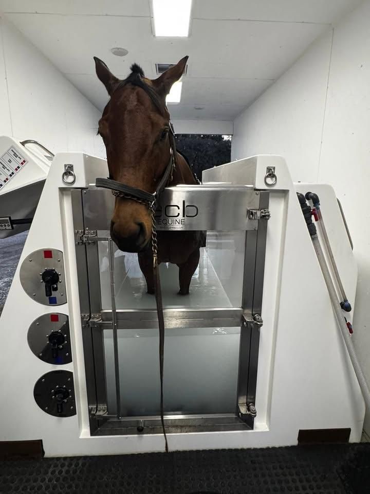  for Florida Native Equestrian Development in Central Florida, FL