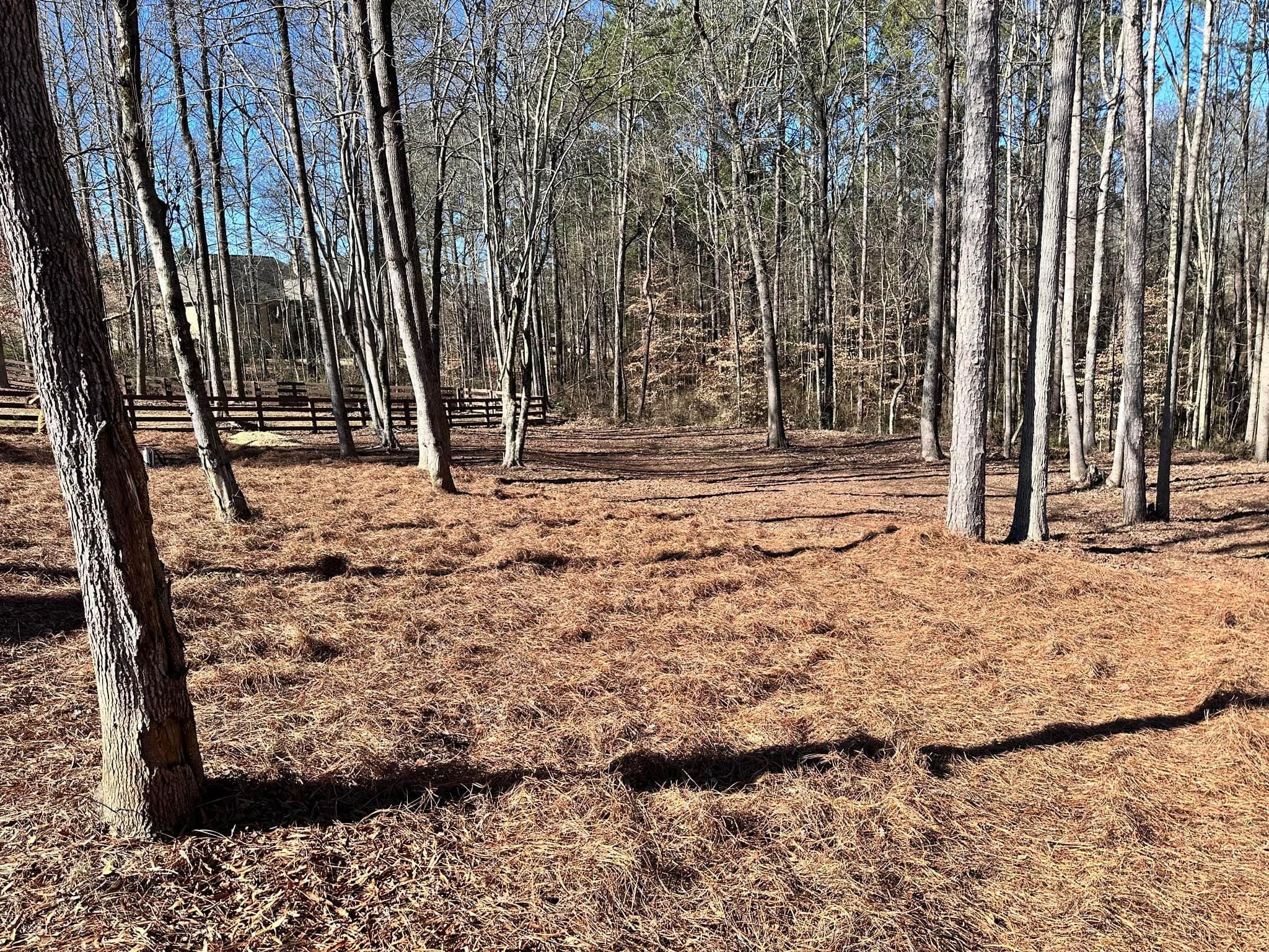 All Photos for Sexton Lawn Care in Jefferson, GA