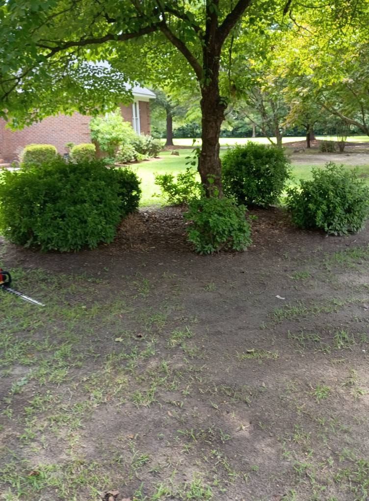  for Brothers On Point Lawn And Junk Removal in Wilson, NC