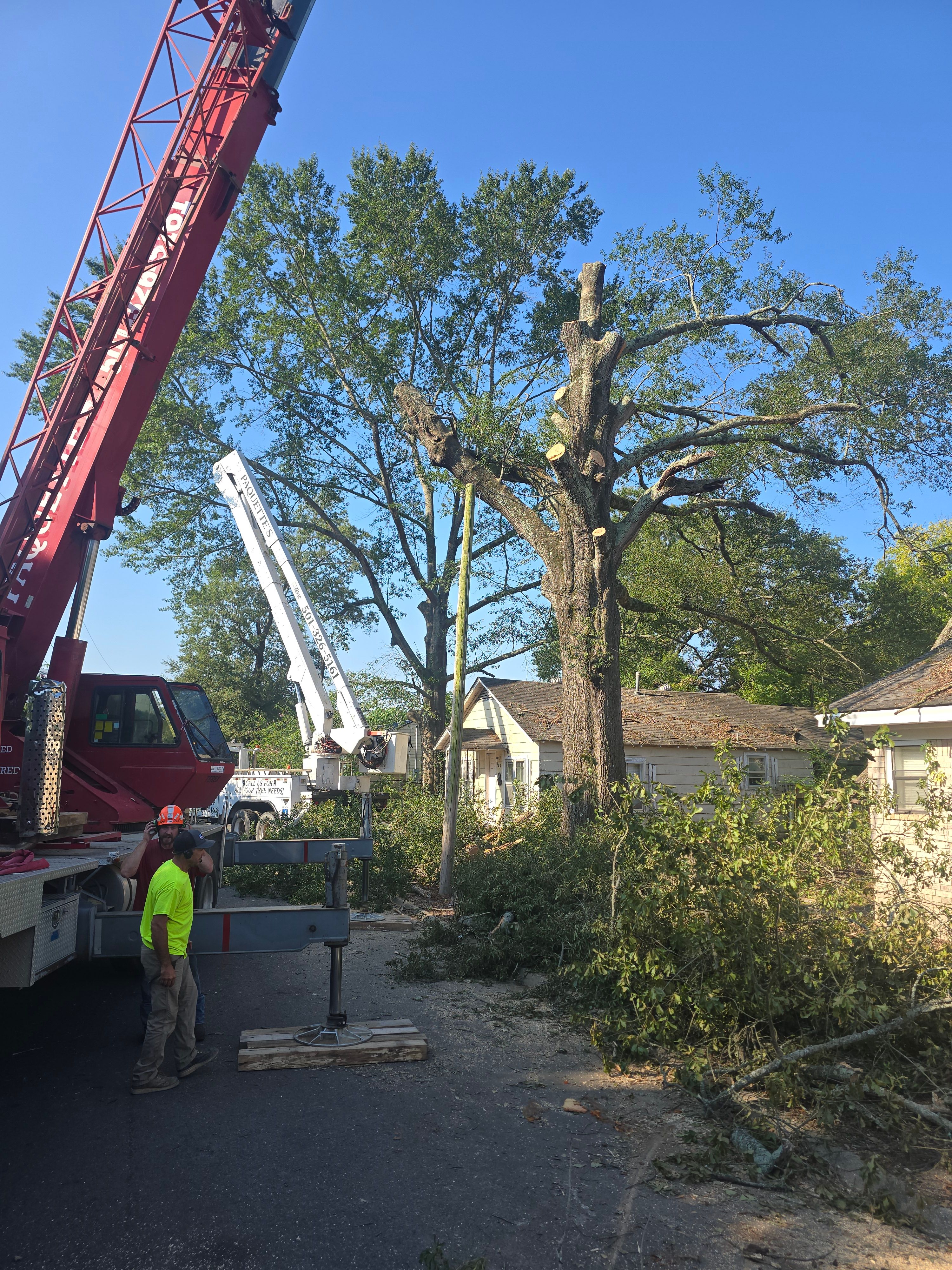  for Paquette's Tree Service in Malvern, AR