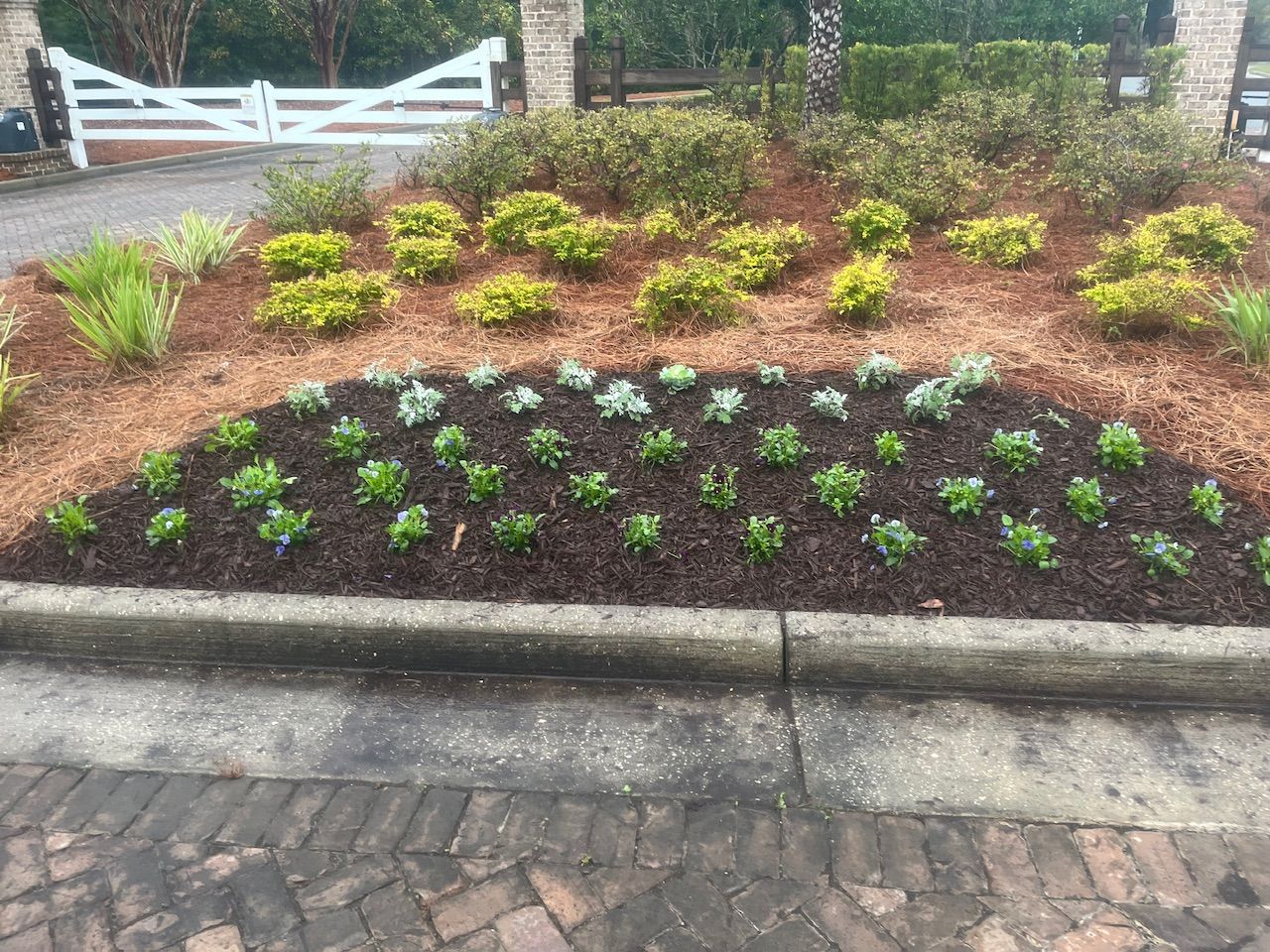  for Golden Isles Greenery in Brunswick, GA