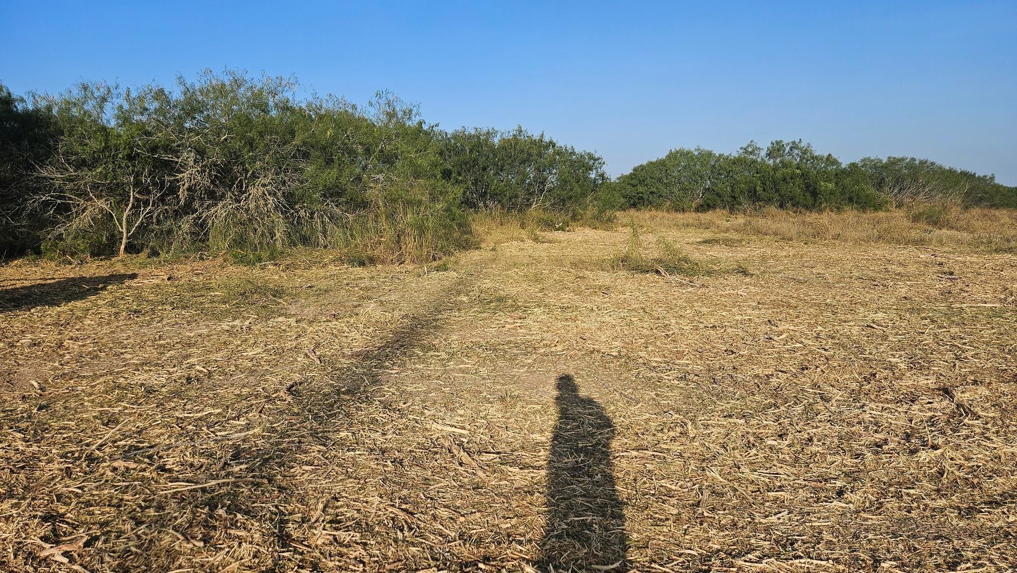 All Photos for Hernandez Land Clearing Services in Alice, TX
