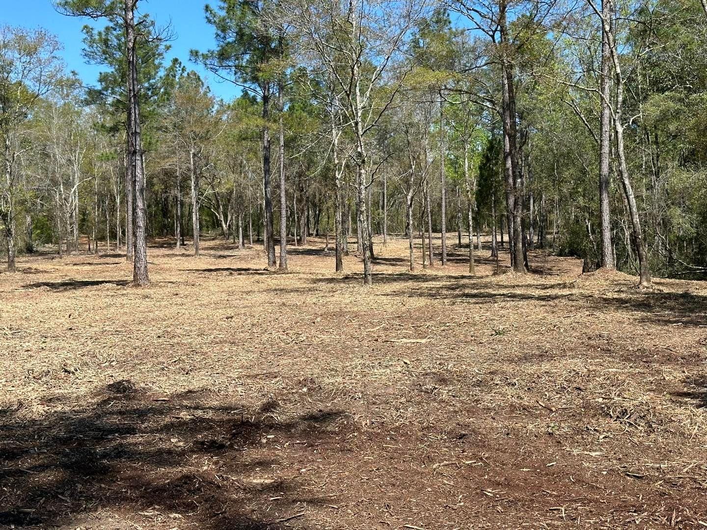 All Photos for White’s Land Maintenance in Milton,, FL